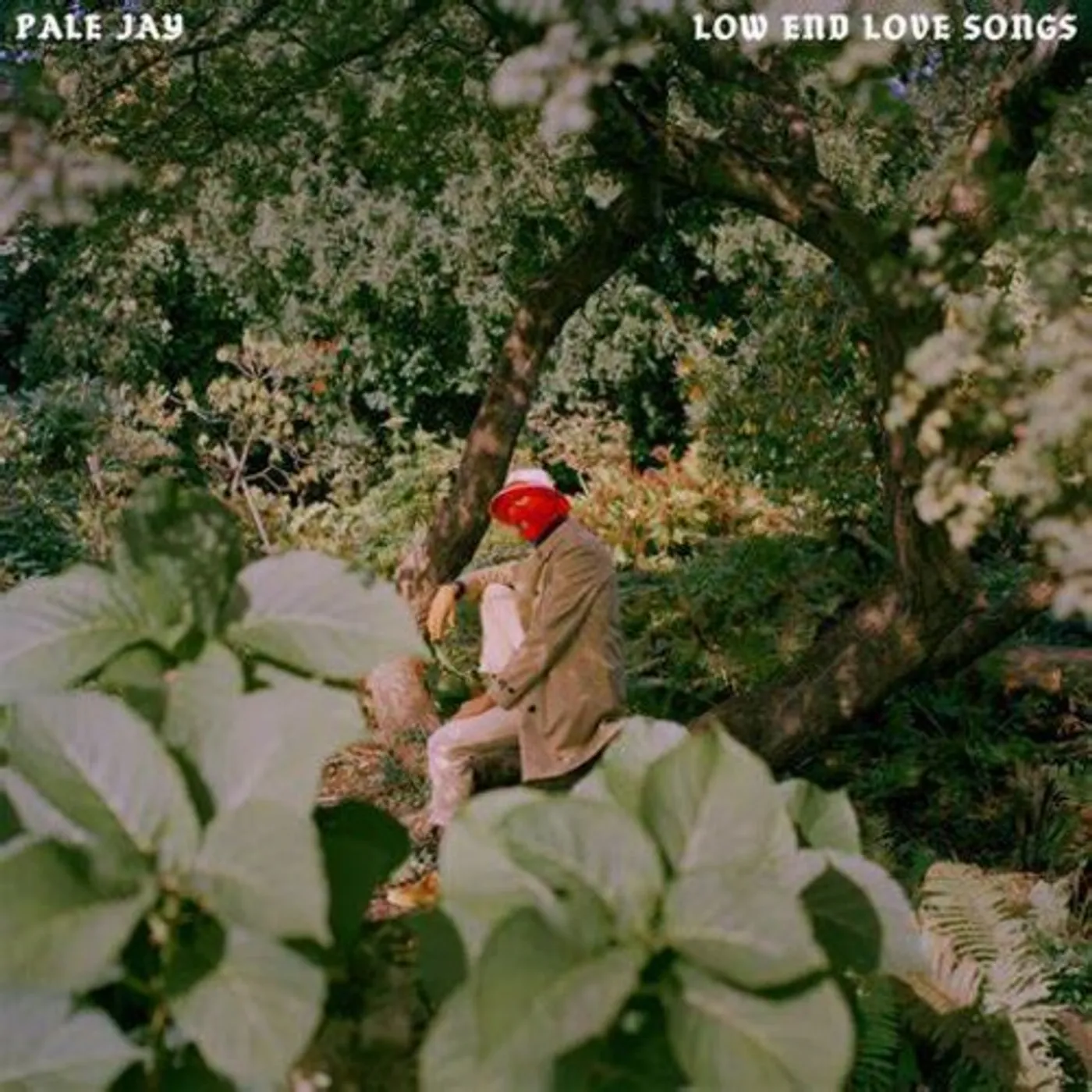 Pale Jay LOW END LOVE SONGS CD