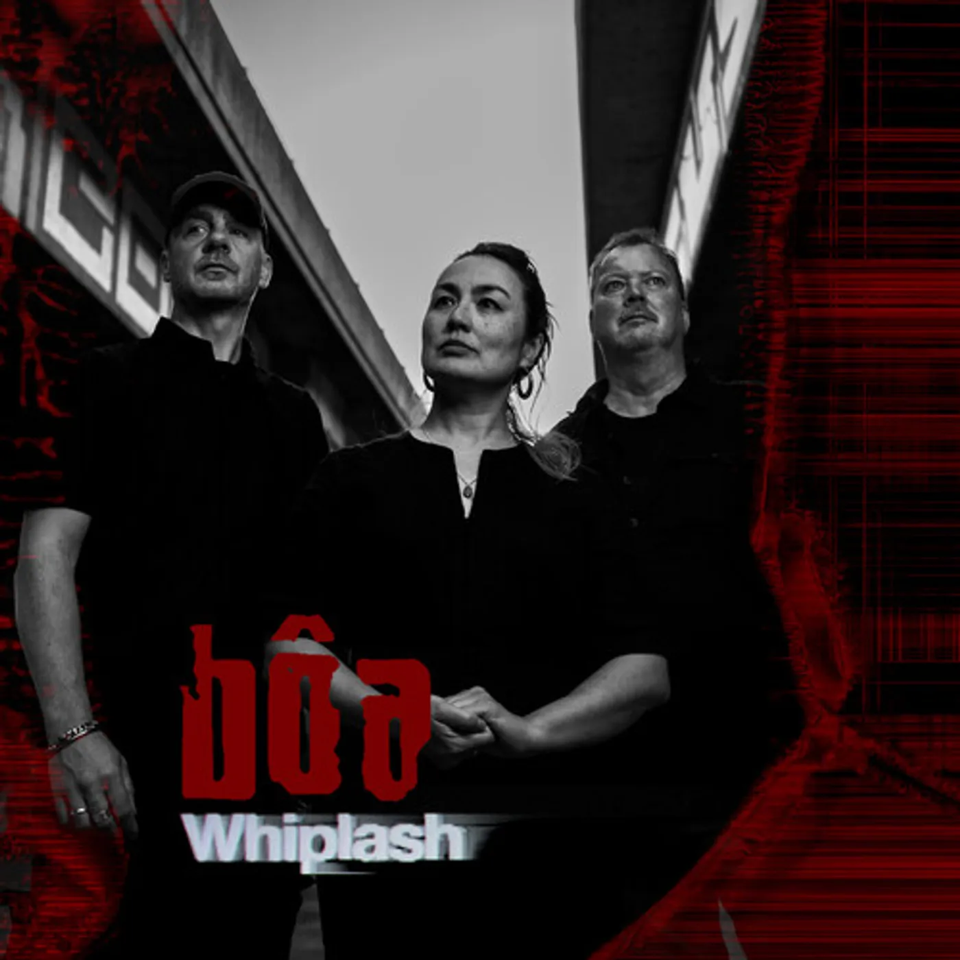 BoA WHIPLASH Vinyl Record