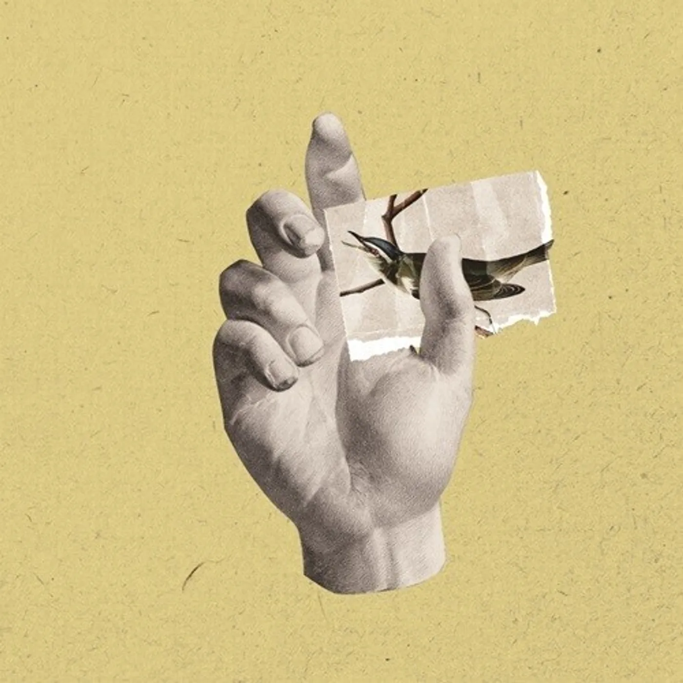 Catalina WALLS, FRAGMENTS CD