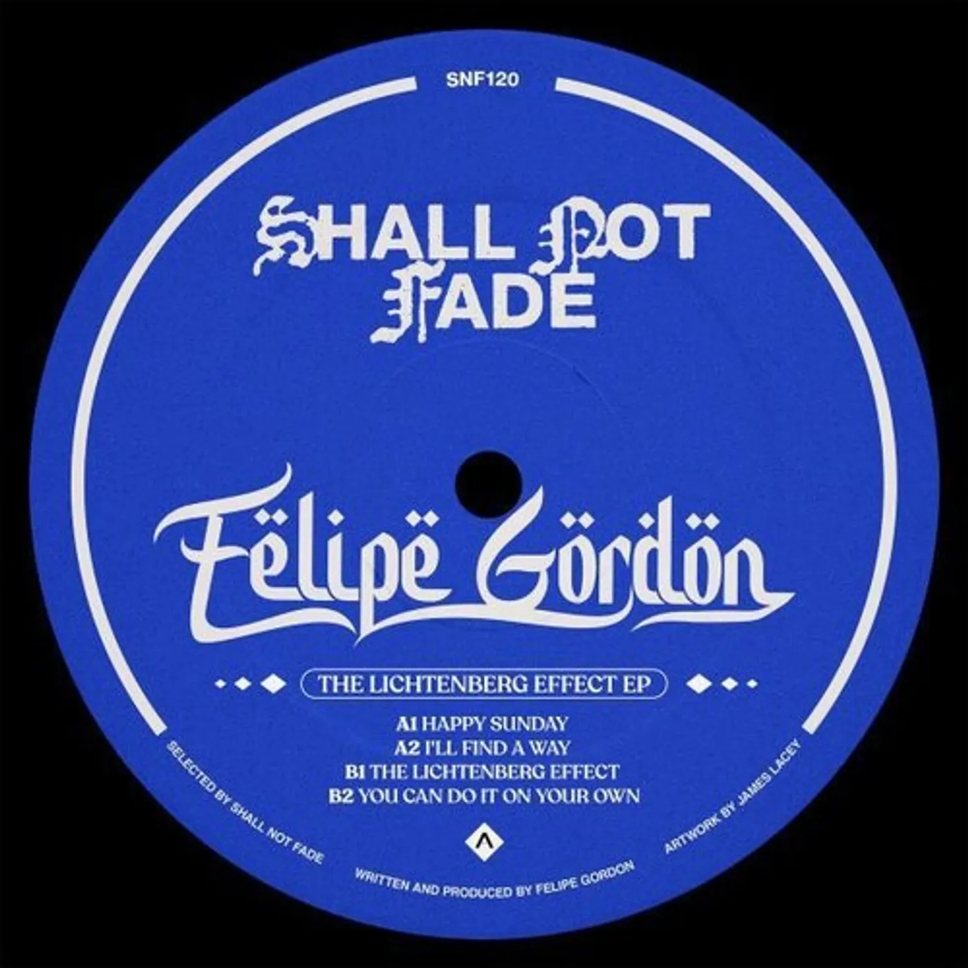 Felipe Gordon LICHTENBERG EFFECT Vinyl Record