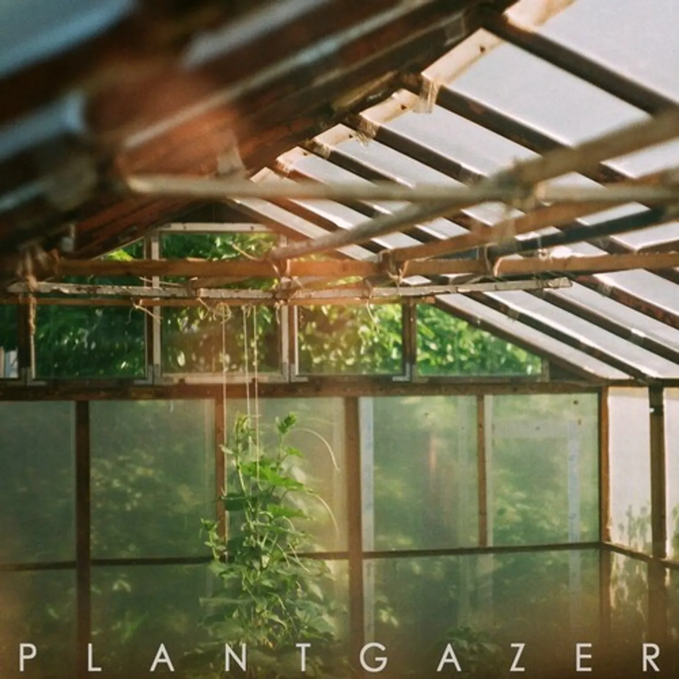 Show Me A Dinosaur PLANTGAZER CD