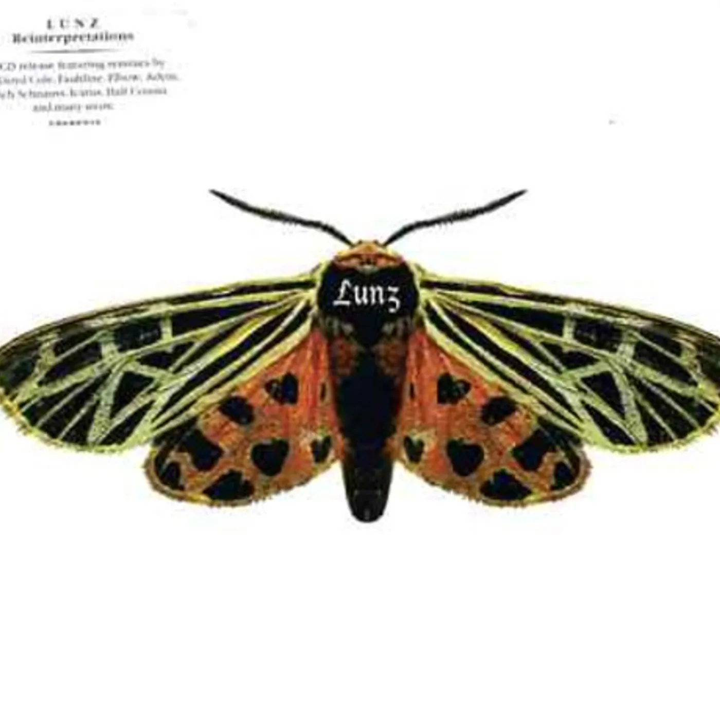 Lunz ORIGINAL & REMIXED CD