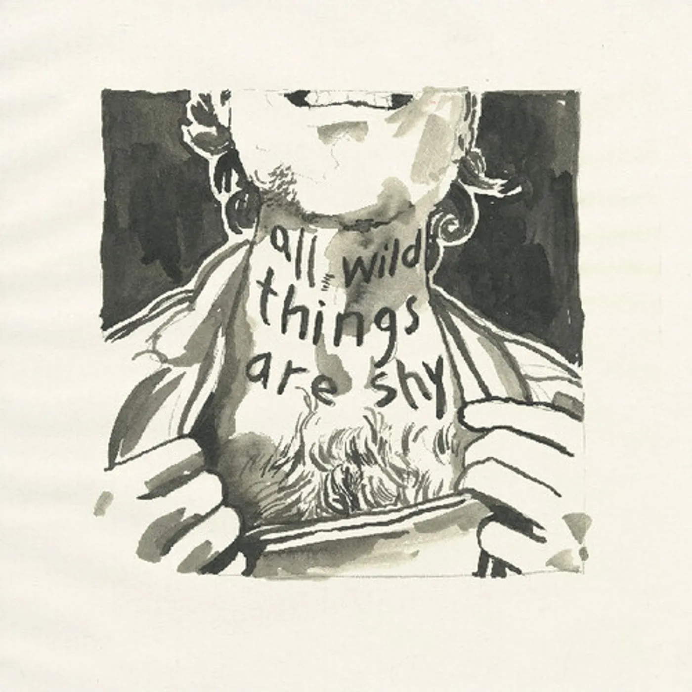 Richard Laviolette ALL WILD THINGS ARE SHY CD