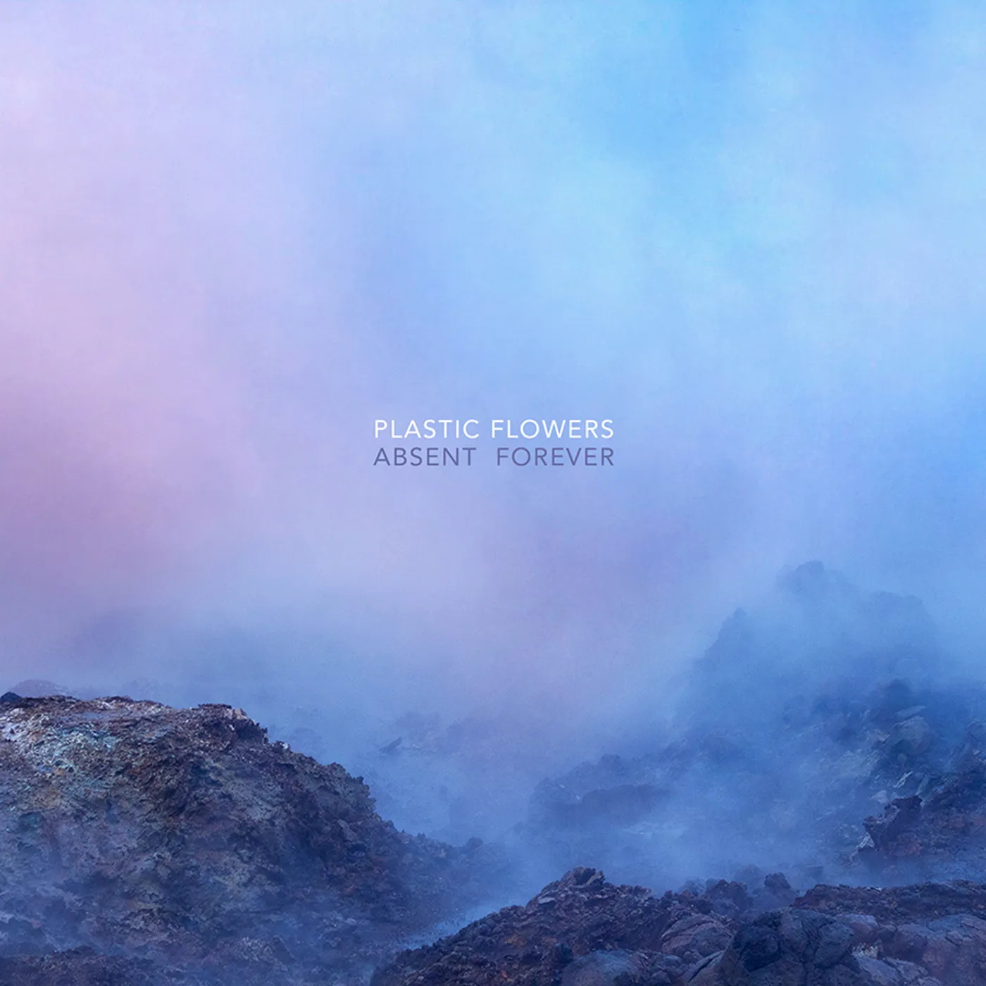 Plastic Flowers Absent Forever Vinyl Record