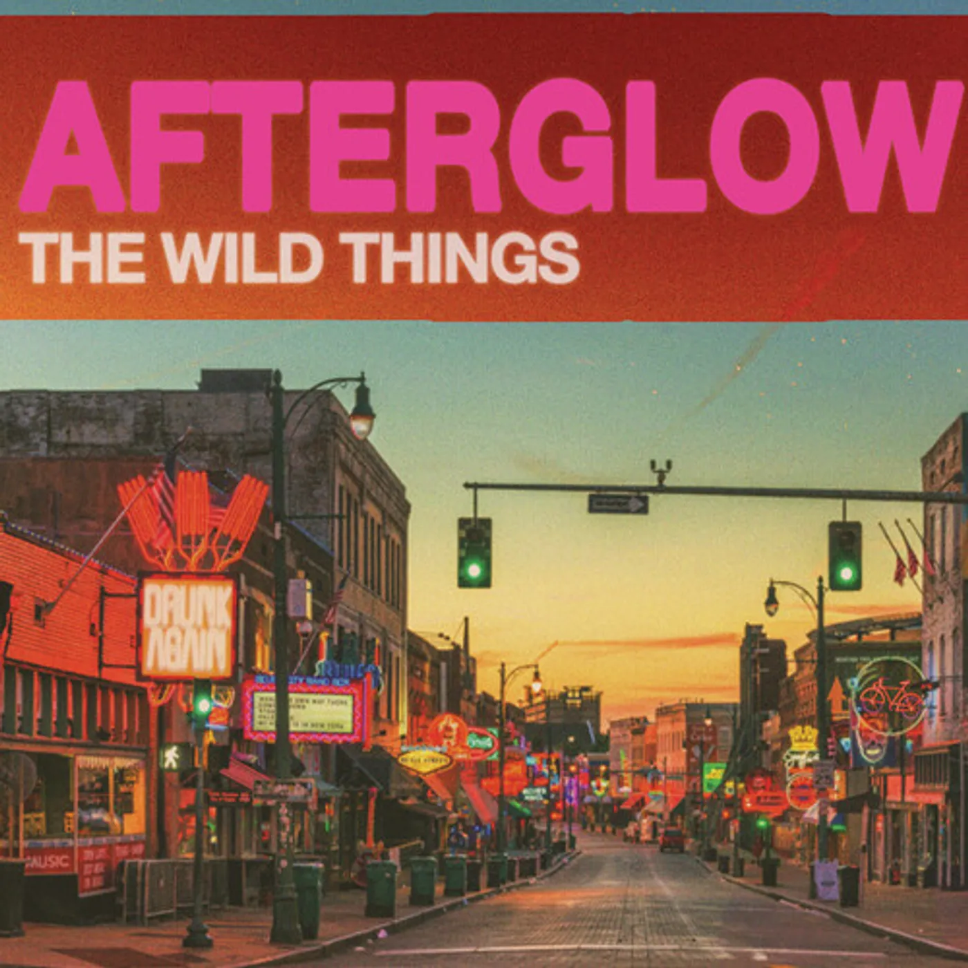 The Wild Things AFTERGLOW CD