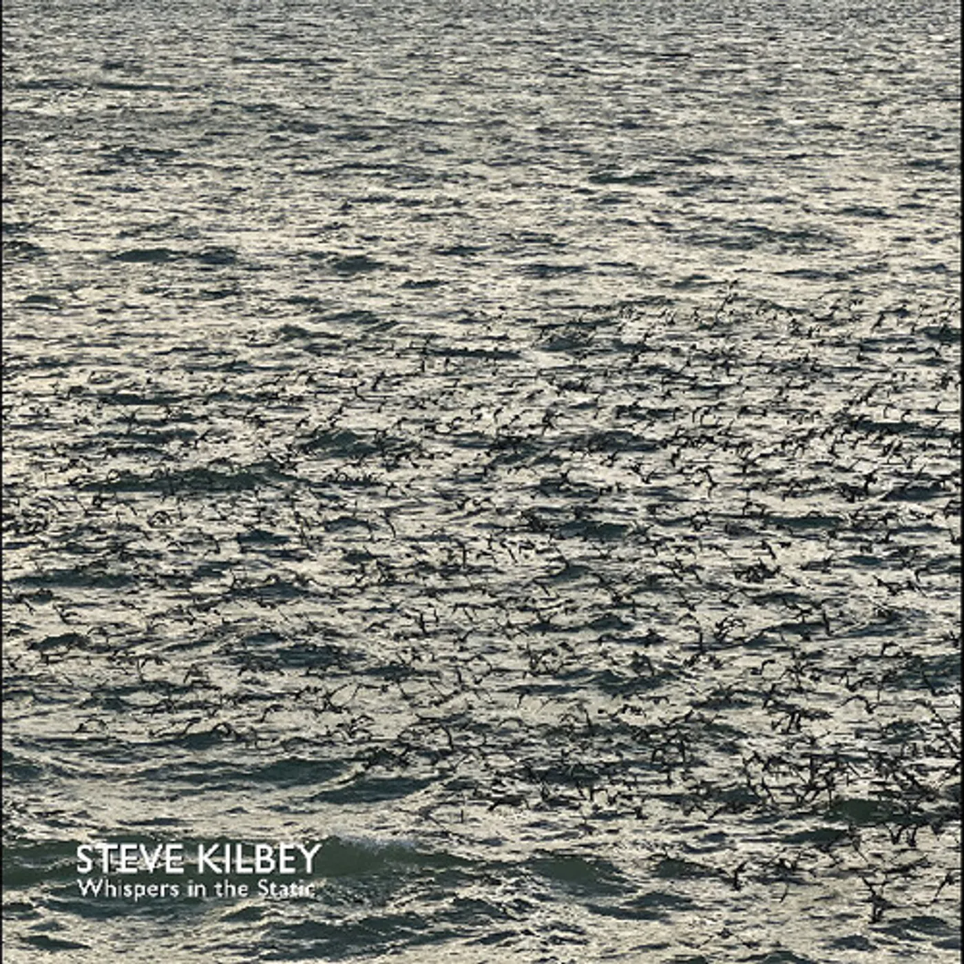 Steve Kilbey Whispers In The Static (Gray) Vinyl Record