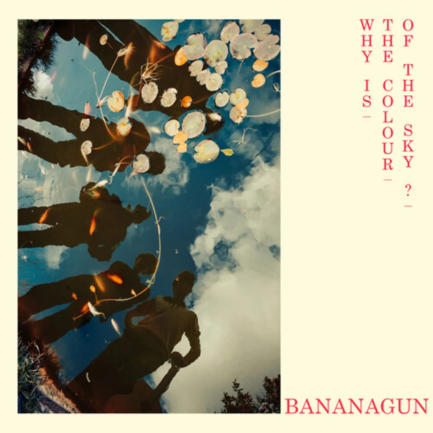 Bananagun WHY IS THE COLOUR OF THE SKY Vinyl Record