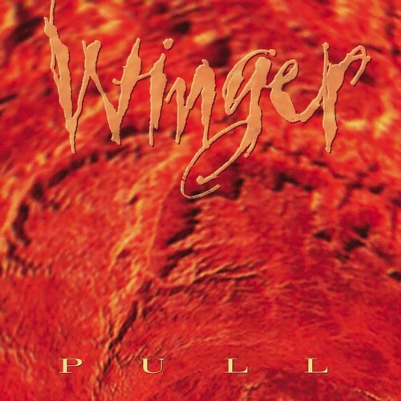 Winger PULL CD