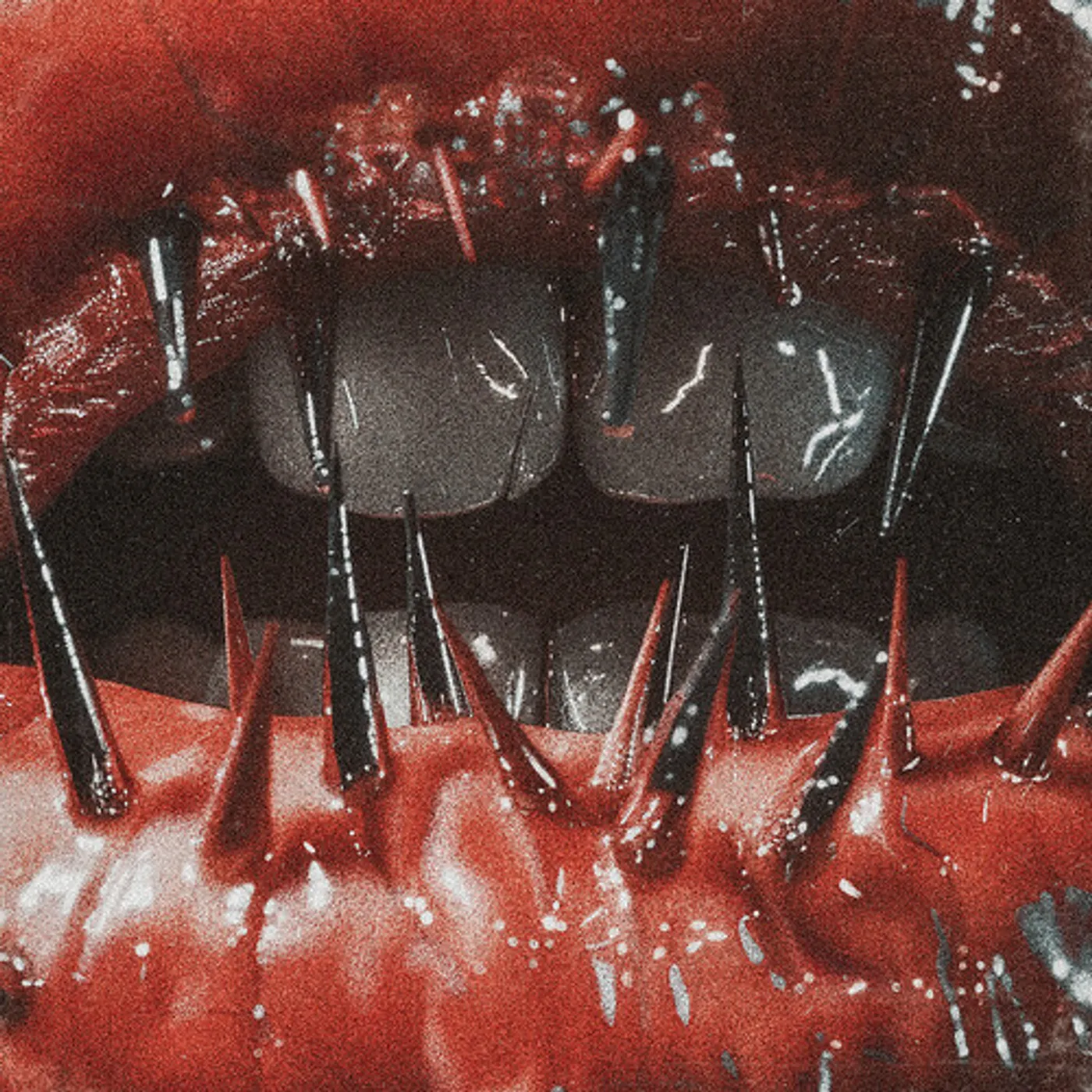 Saltwound TEMPTATION OF PAIN CD