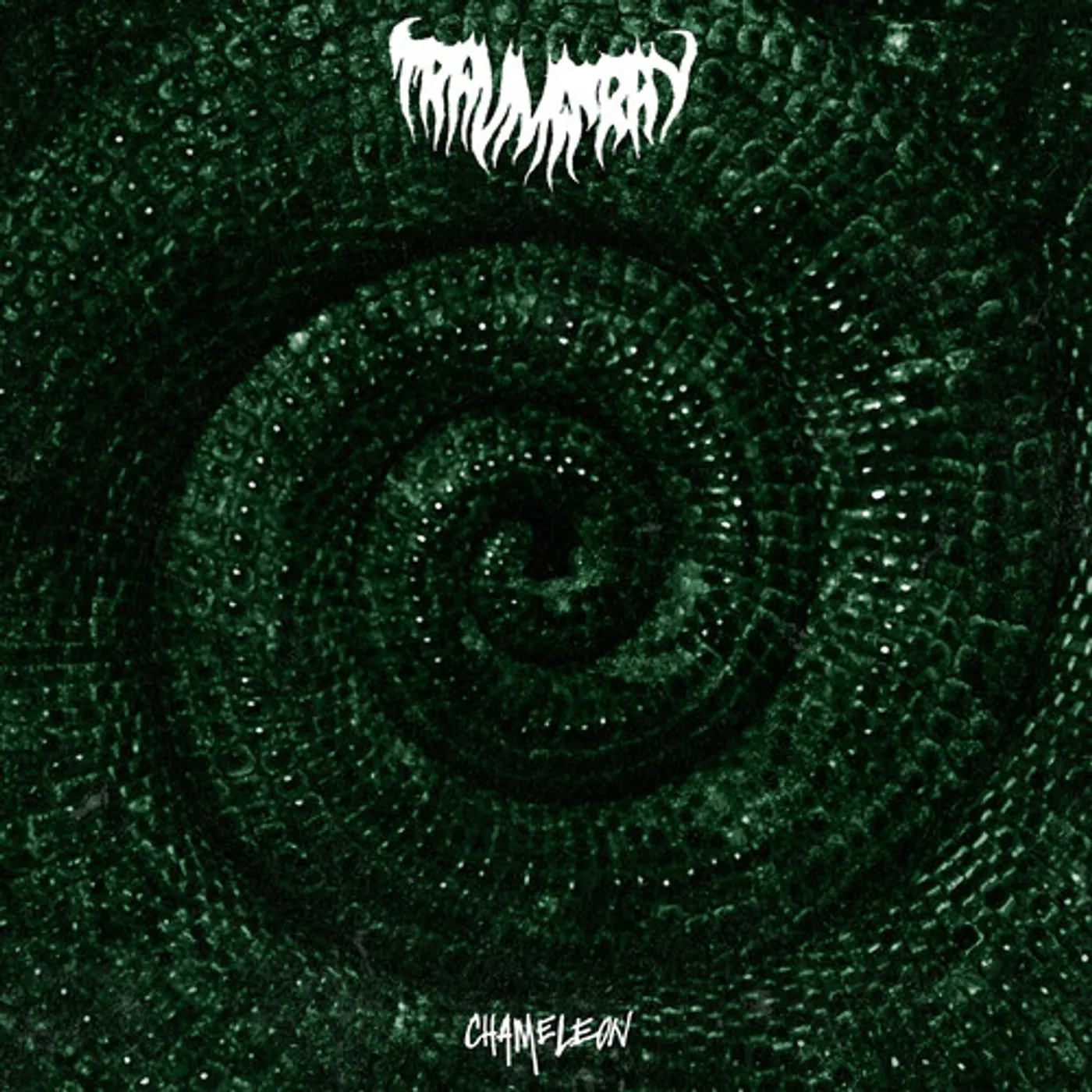 trauma ray CHAMELEON Vinyl Record