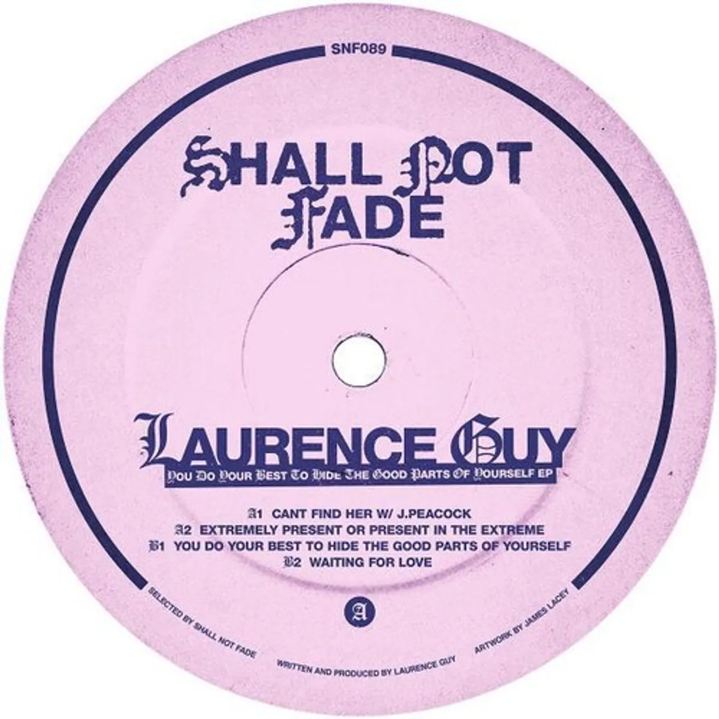 Laurence Guy YOU DO YOUR BEST TO HIDE THE GOOD PARTS OF Vinyl Record