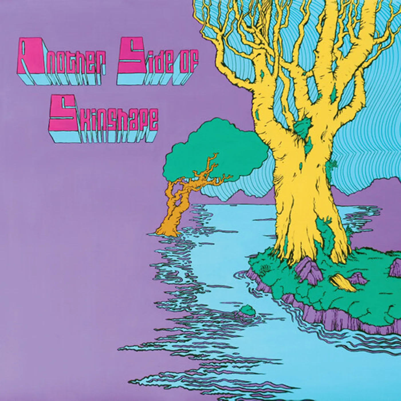 ANOTHER SIDE OF SKINSHAPE CD