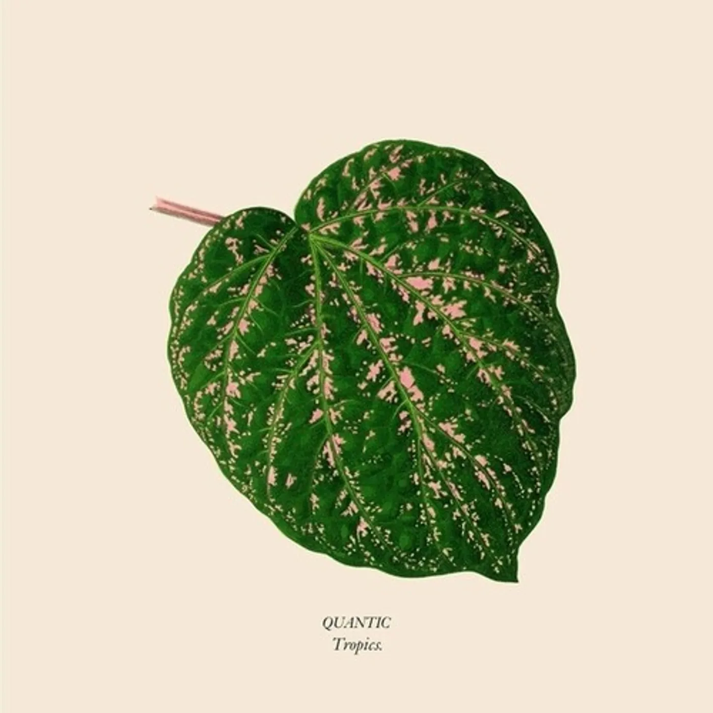 Quantic TROPICS Vinyl Record