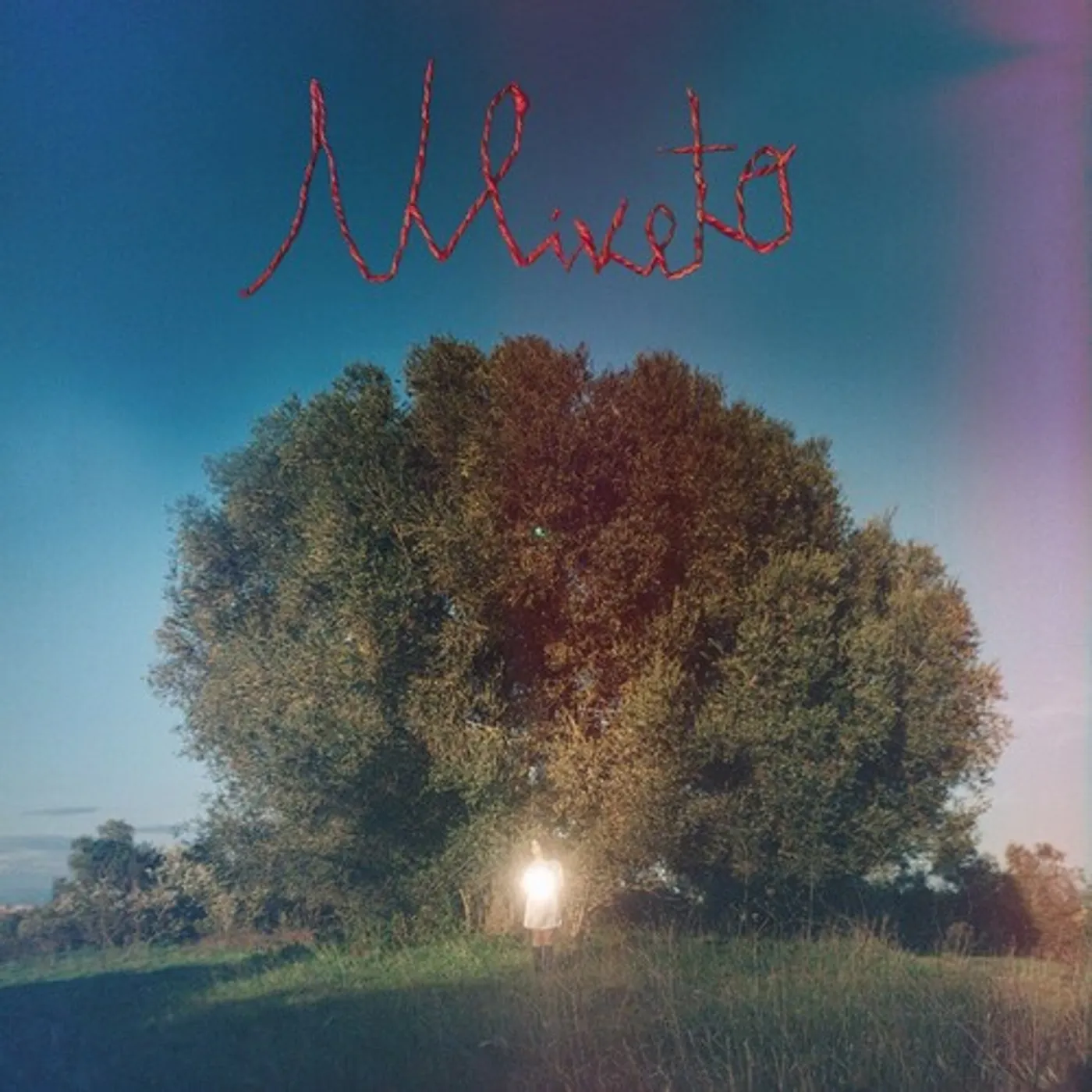 Donatella Montinaro ULIVETO CD