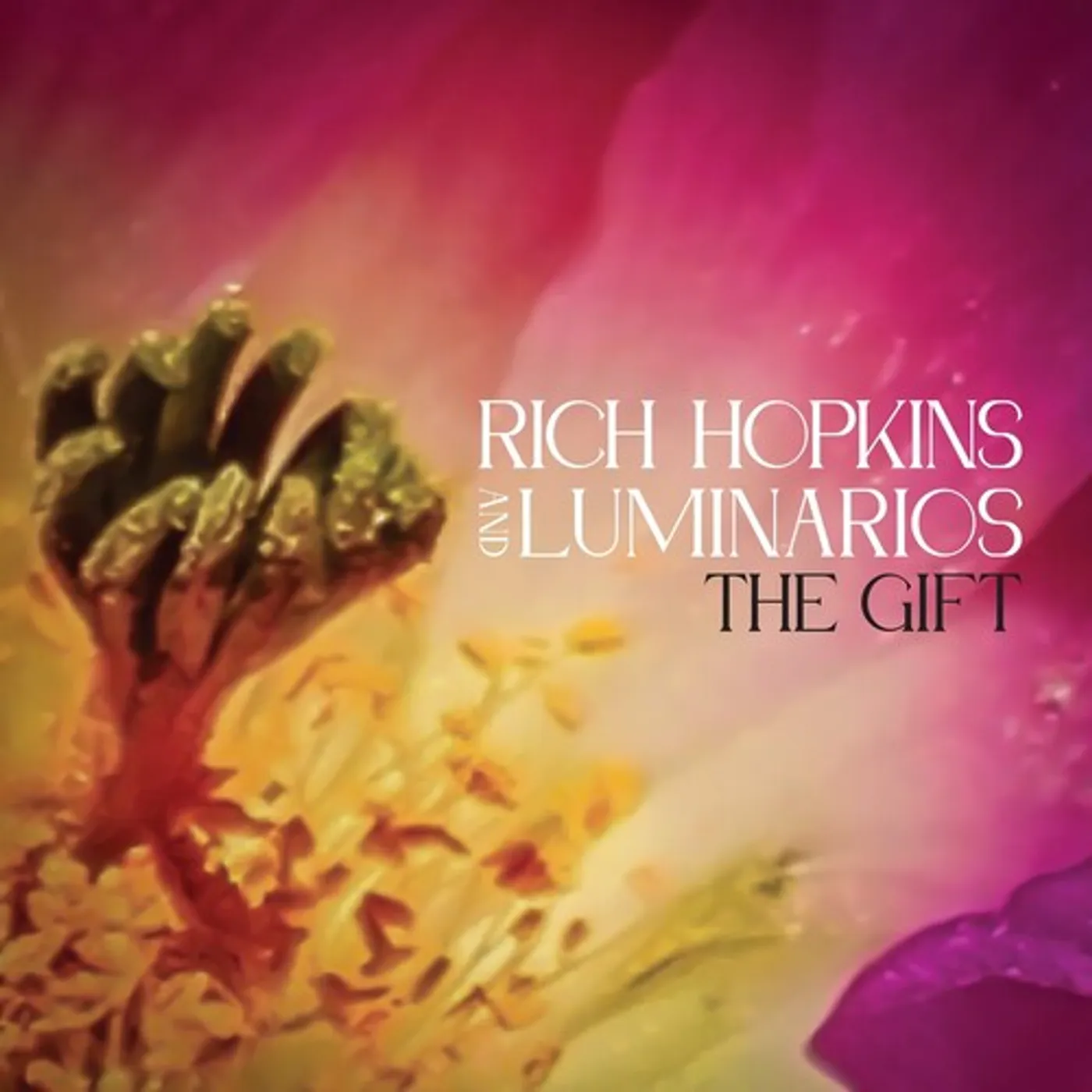 Rich Hopkins & Luminarios GIFT Vinyl Record