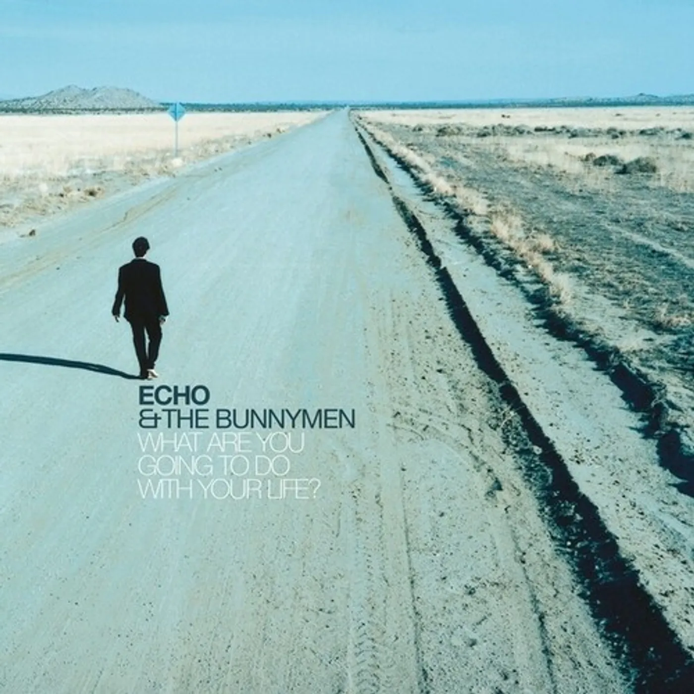 Echo & the Bunnymen What Are You Going To Do With Your Life Vinyl Record