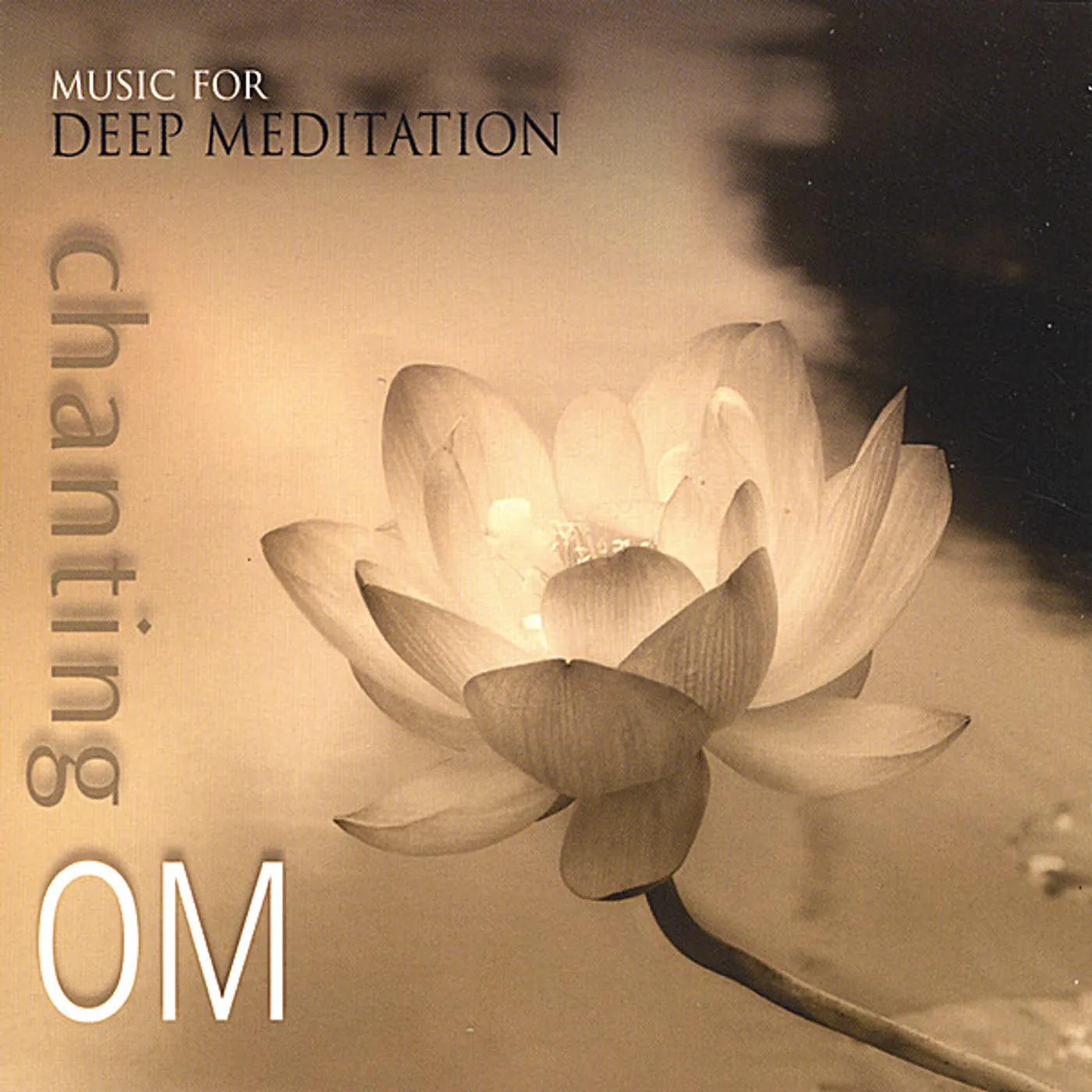 Music for Deep Meditation CHANTING OM CD