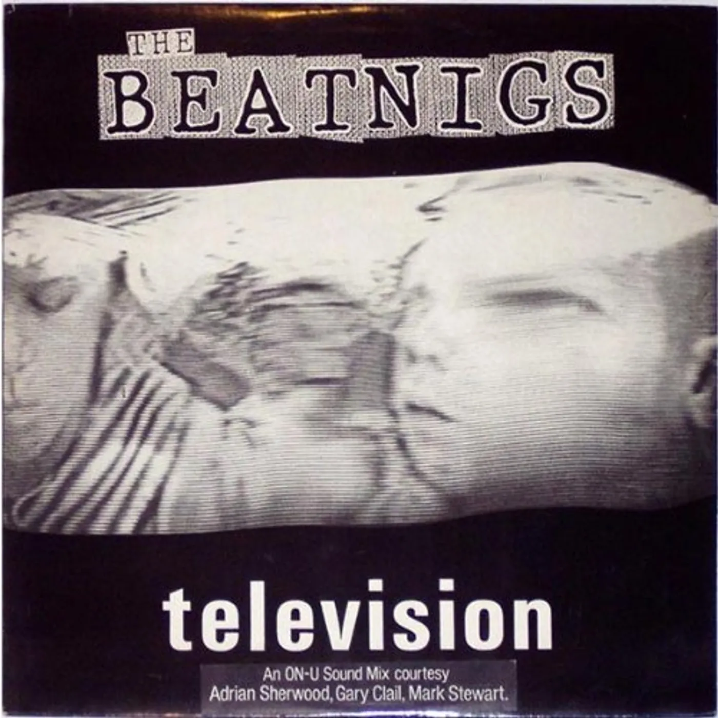 The Beatnigs TELEVISION Vinyl Record