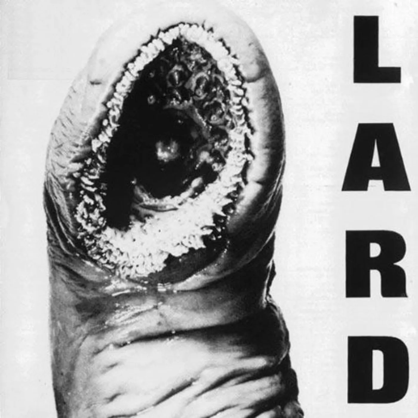 POWER OF LARD Vinyl Record