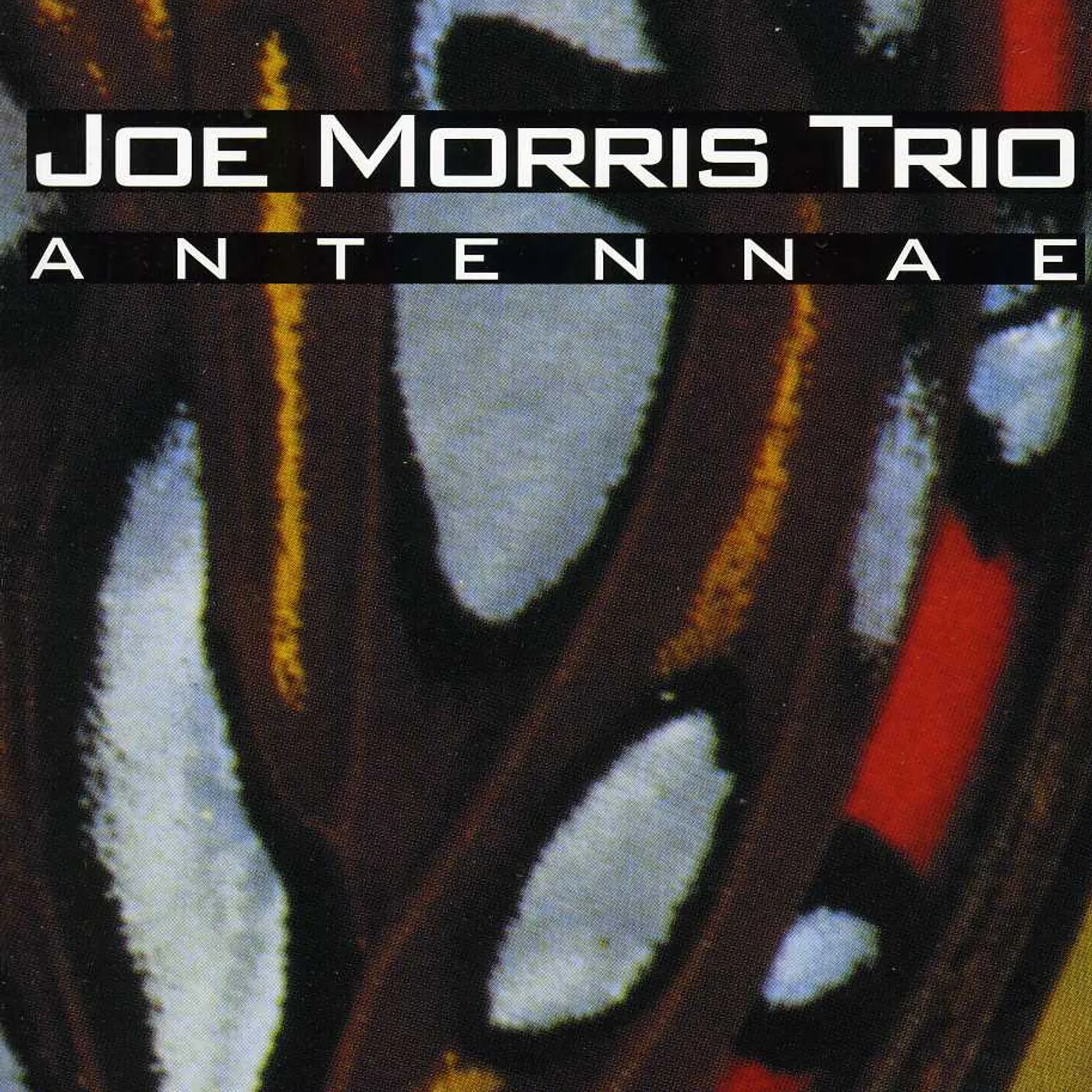 Joe Morris ANTENNAE CD