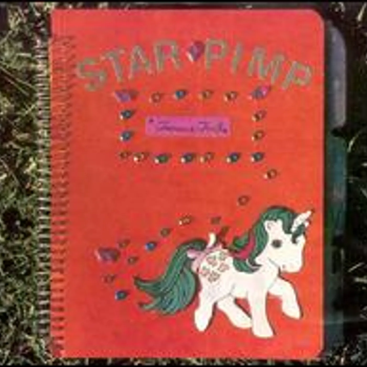 Star Pimp TREASURE TRAIL CD