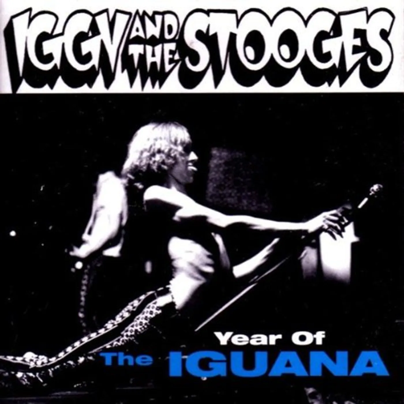 Iggy and the Stooges YEAR OF IGUANA CD
