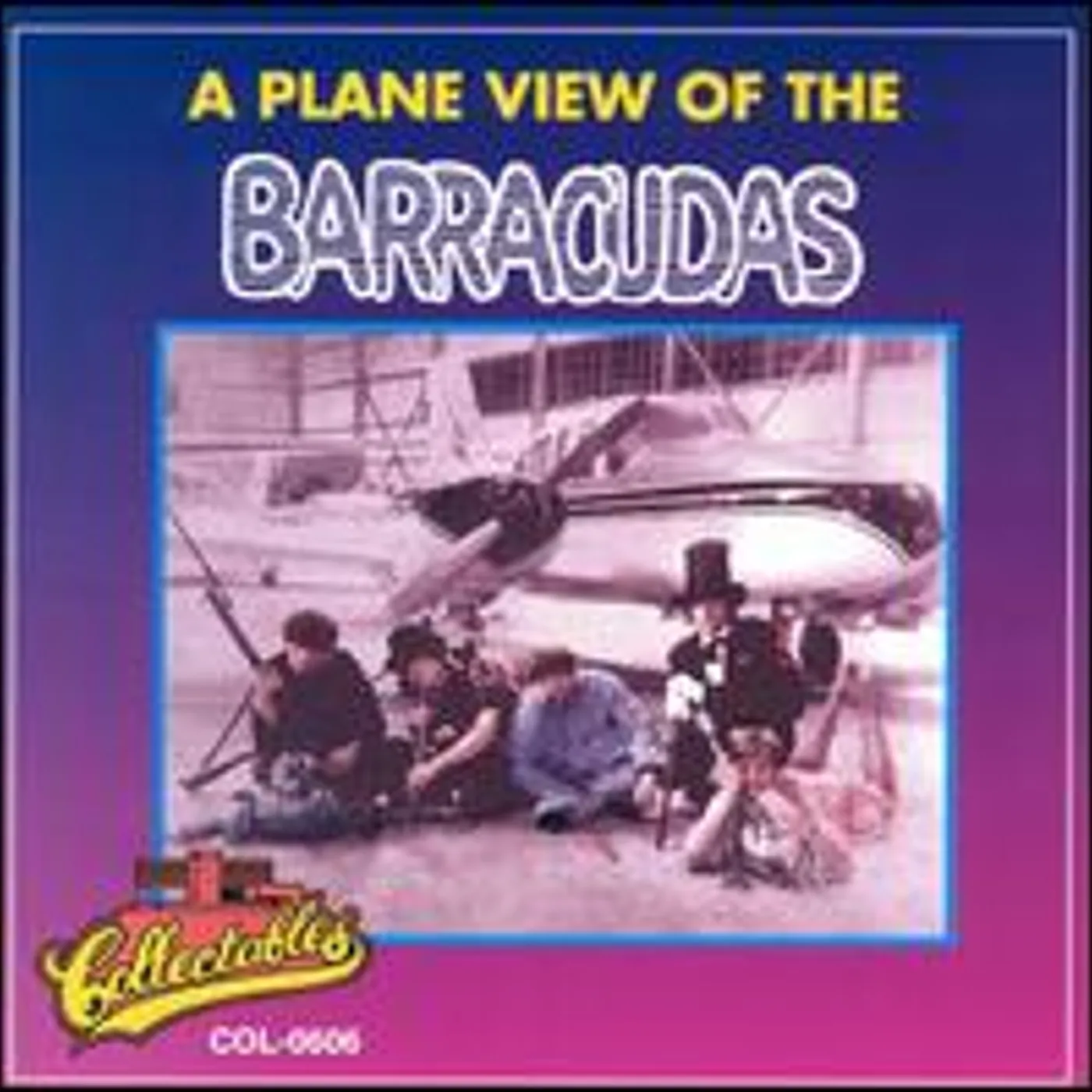 PLANE VIEW OF THE BARRACUDAS CD