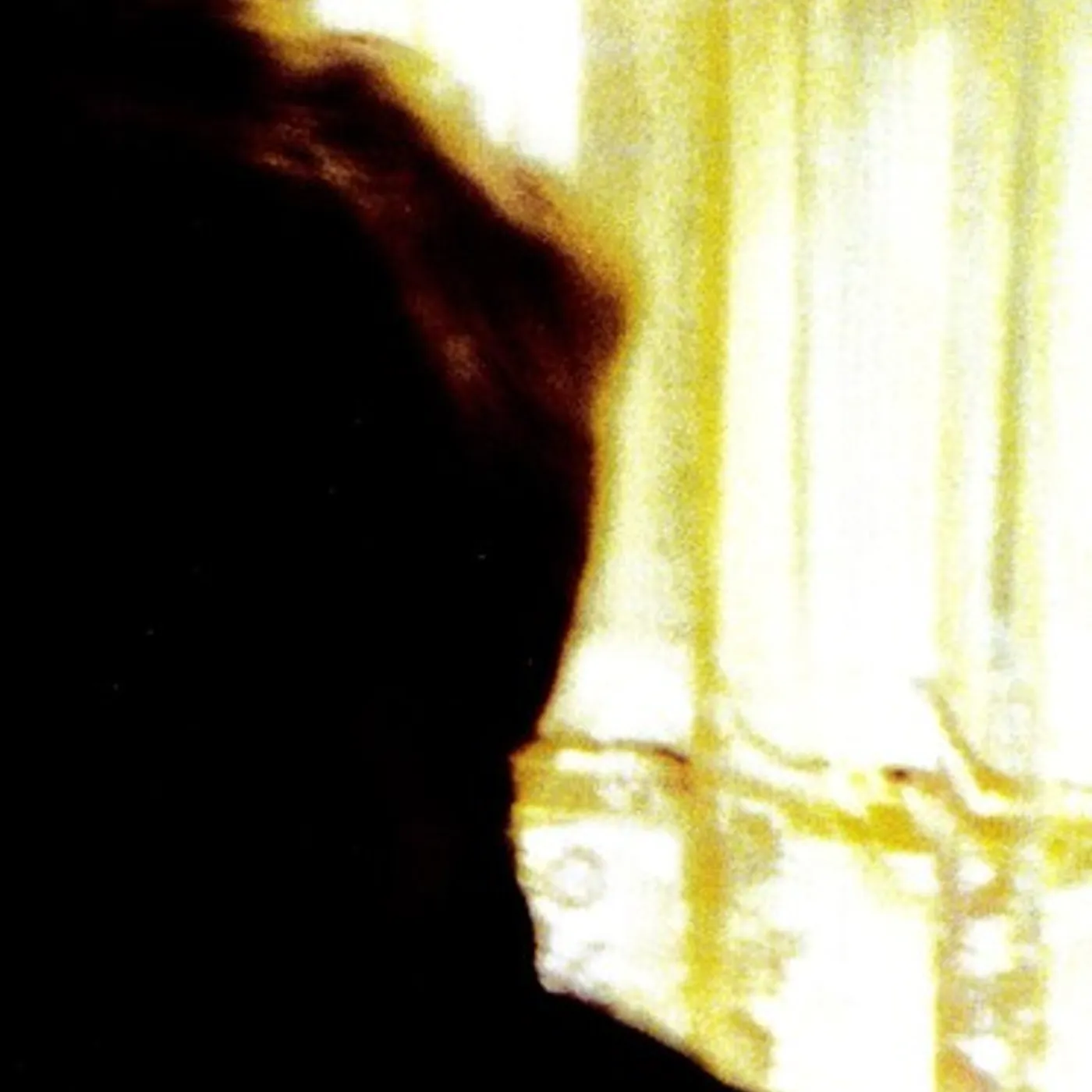 Palace Brothers Days In The Wake Vinyl Record