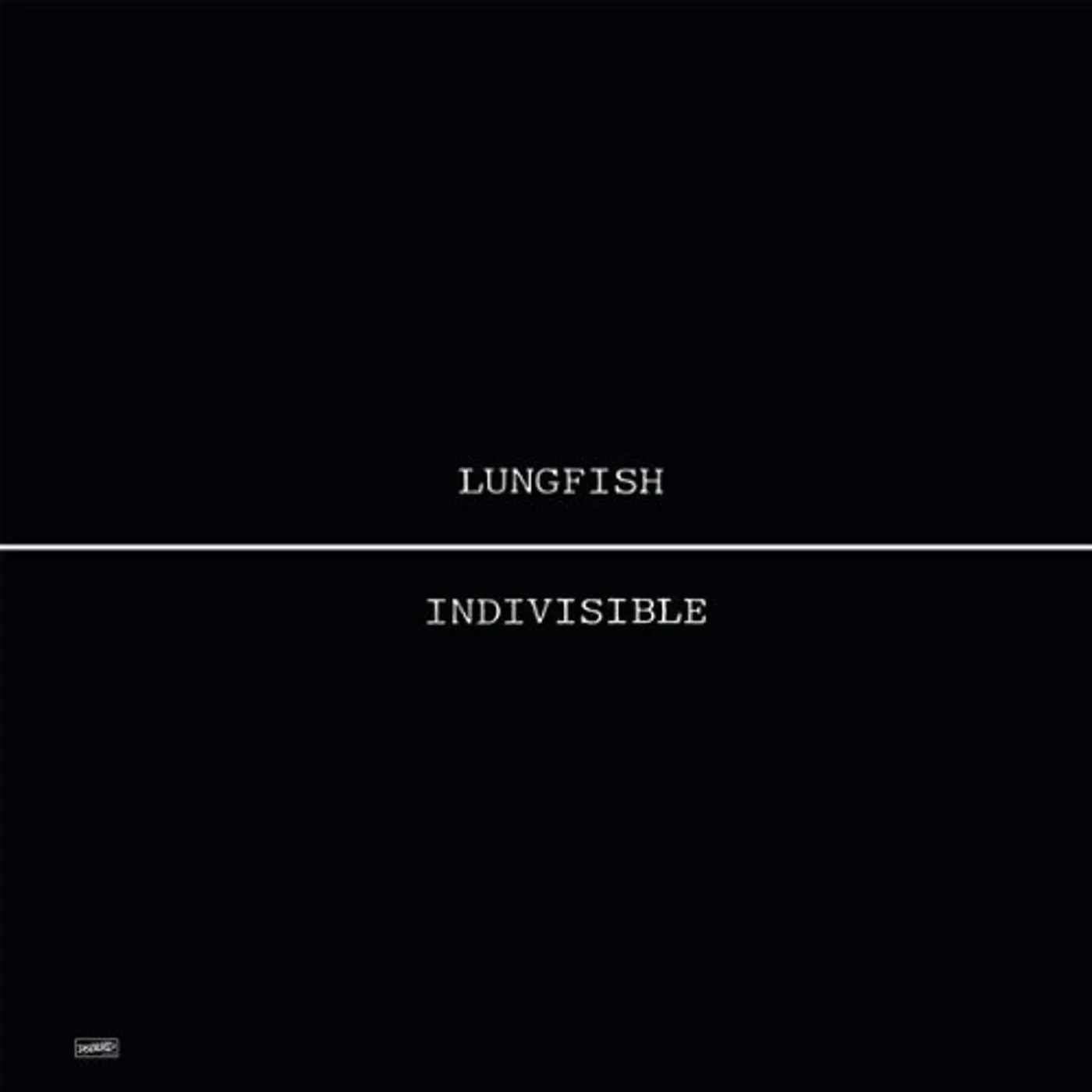 Lungfish Indivisible Vinyl Record
