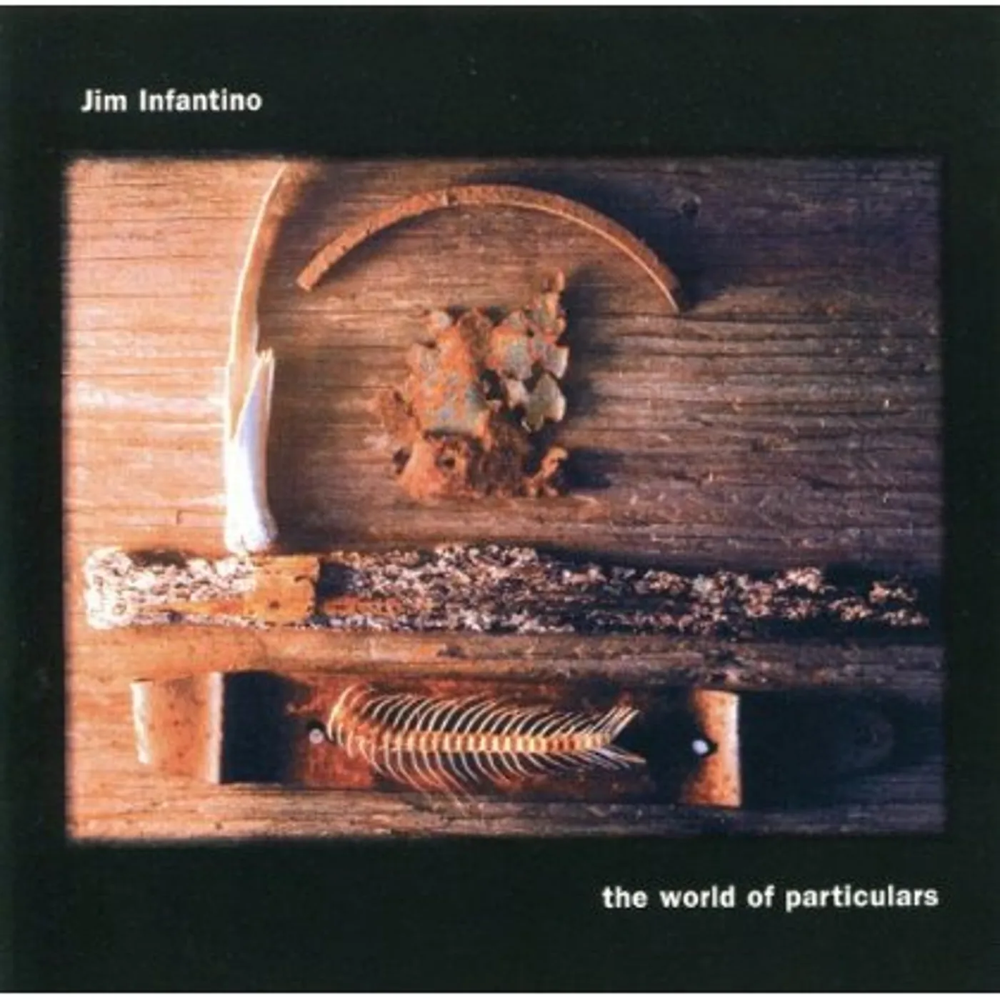 Jim Infantino WORLD OF PARTICULARS CD