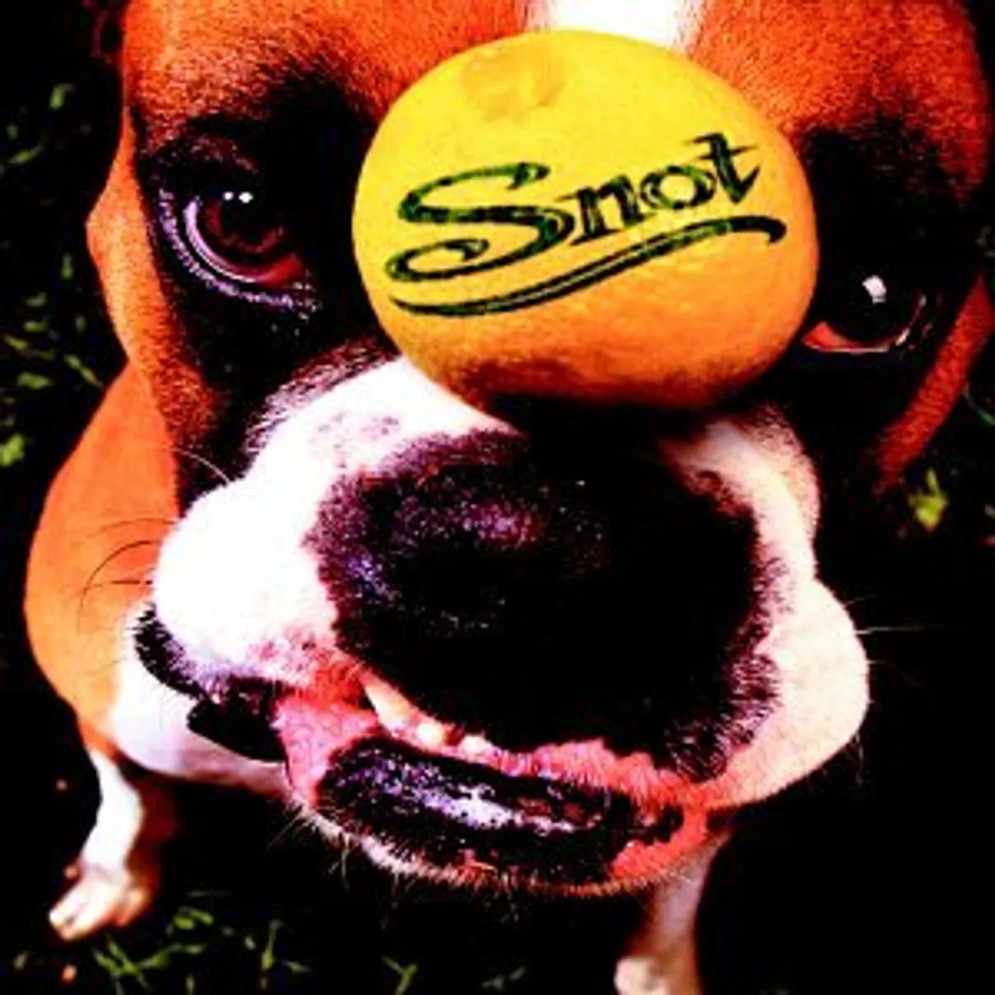 Snot GET SOME CD