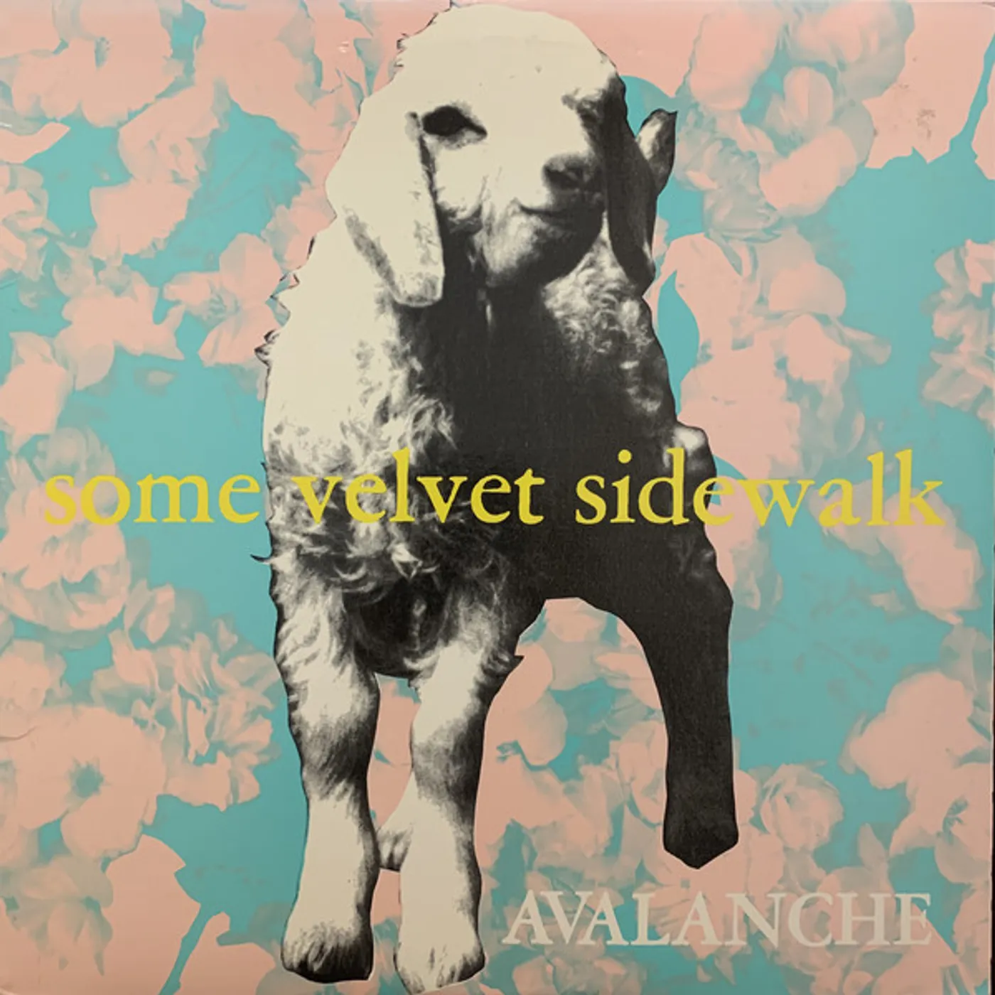 Some Velvet Sidewalk Avalanche Vinyl Record