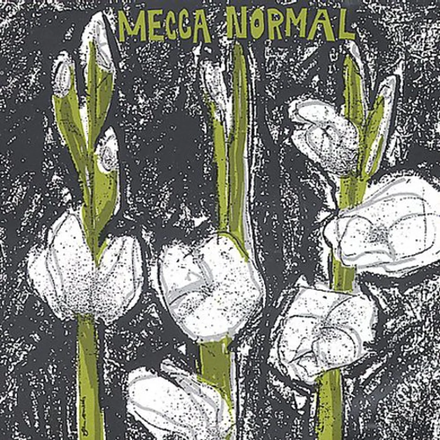 MECCA NORMAL (1ST ALBUM) CD