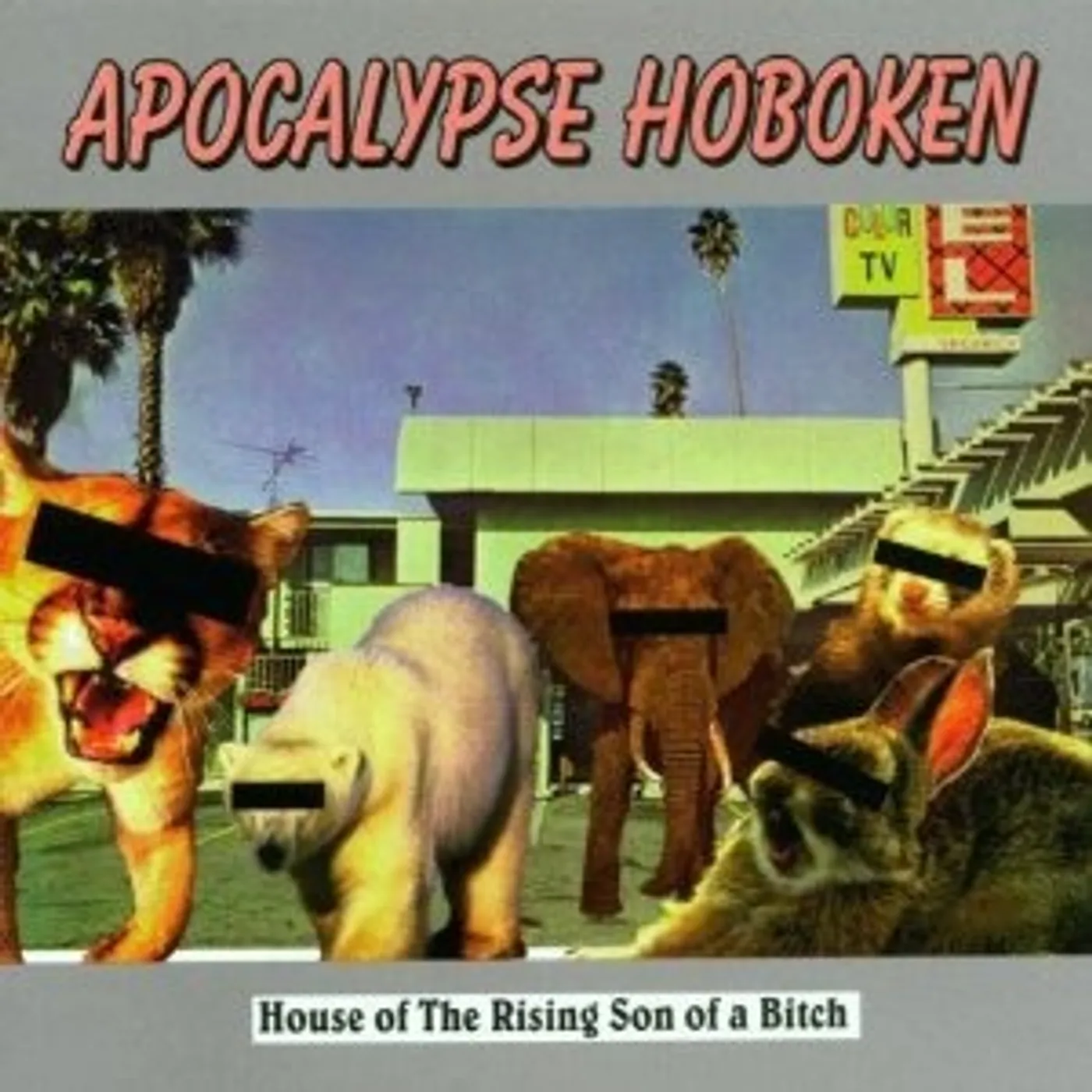 Apocalypse Hoboken House Of The Rising Son Of A Bitch Vinyl Record