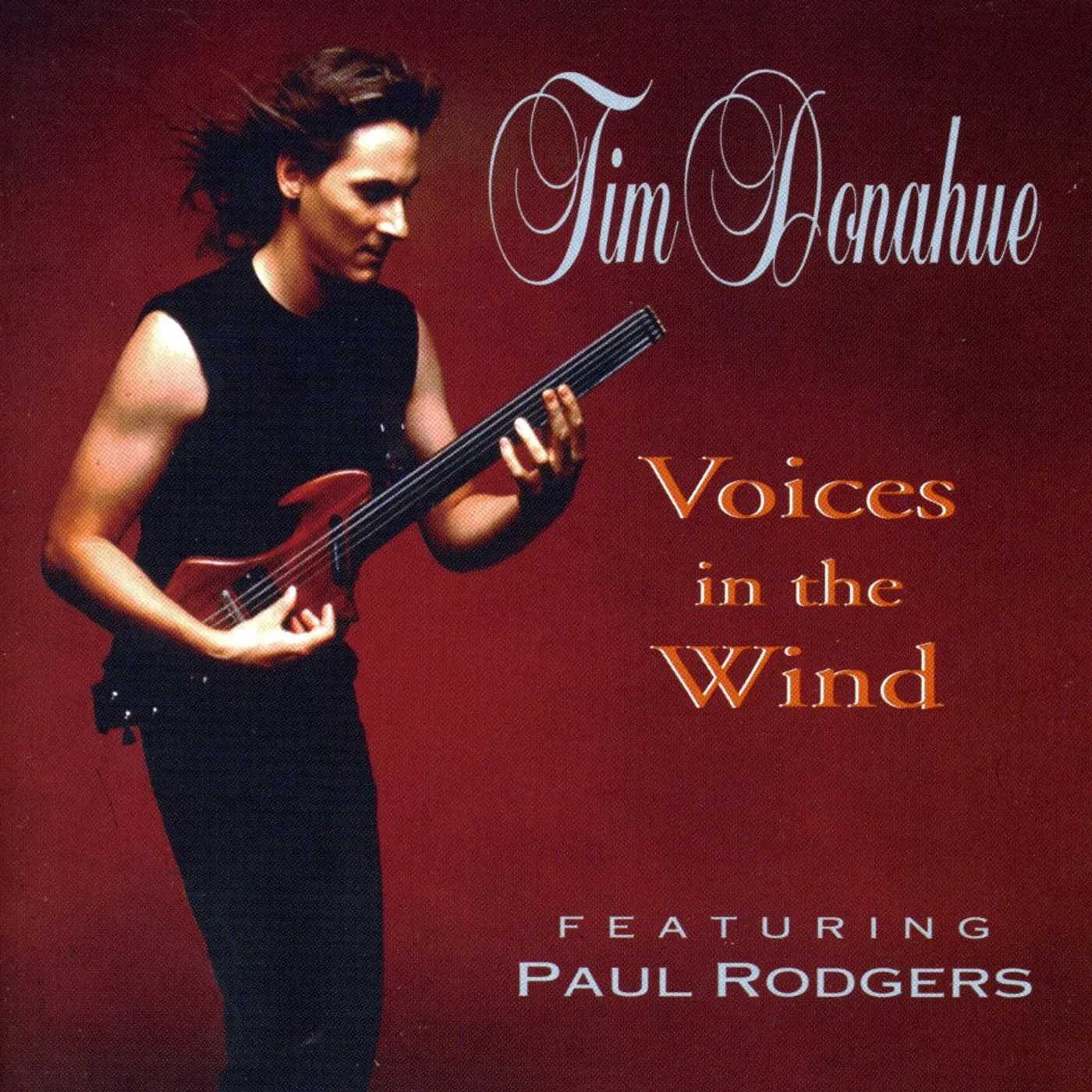 Tim Donahue VOICES IN THE WIND CD