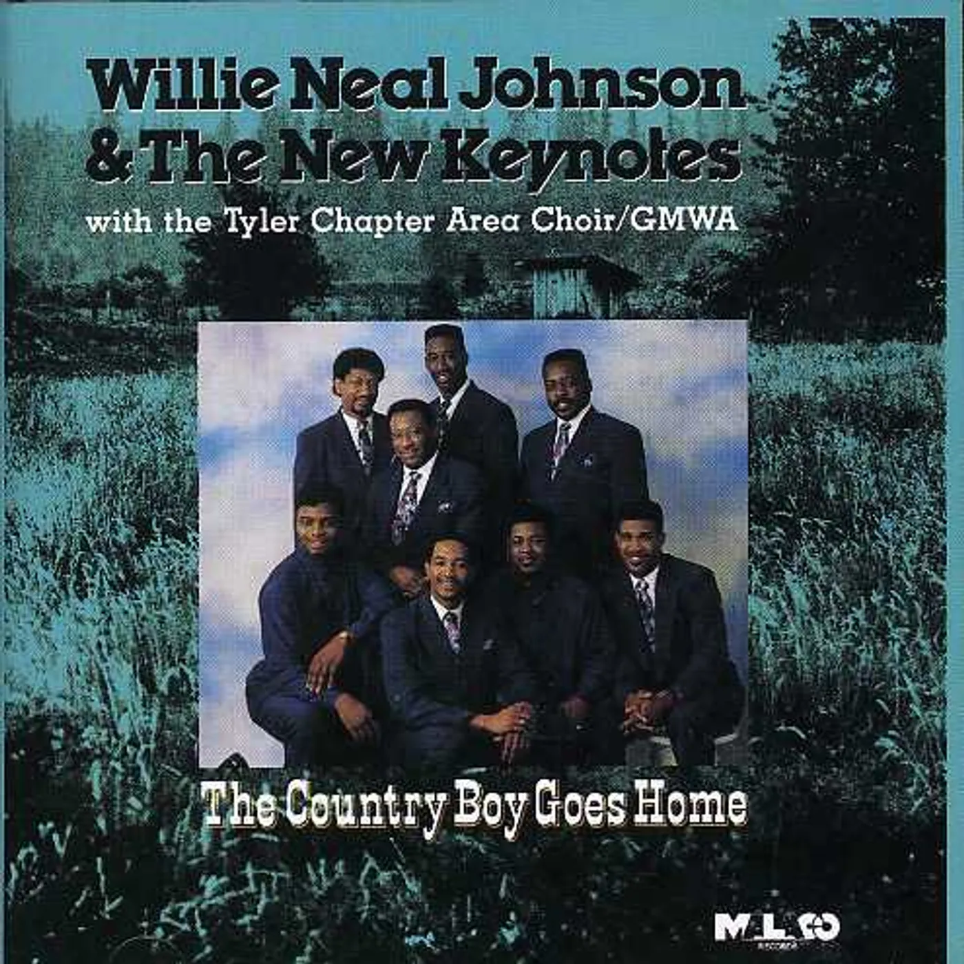 Willie Neal Johnson COUNTRY BOY GOES HOME CD