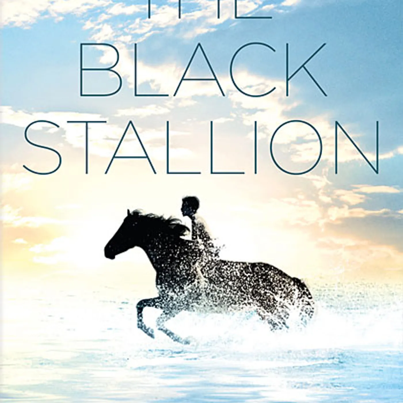BLACK STALLION DVD