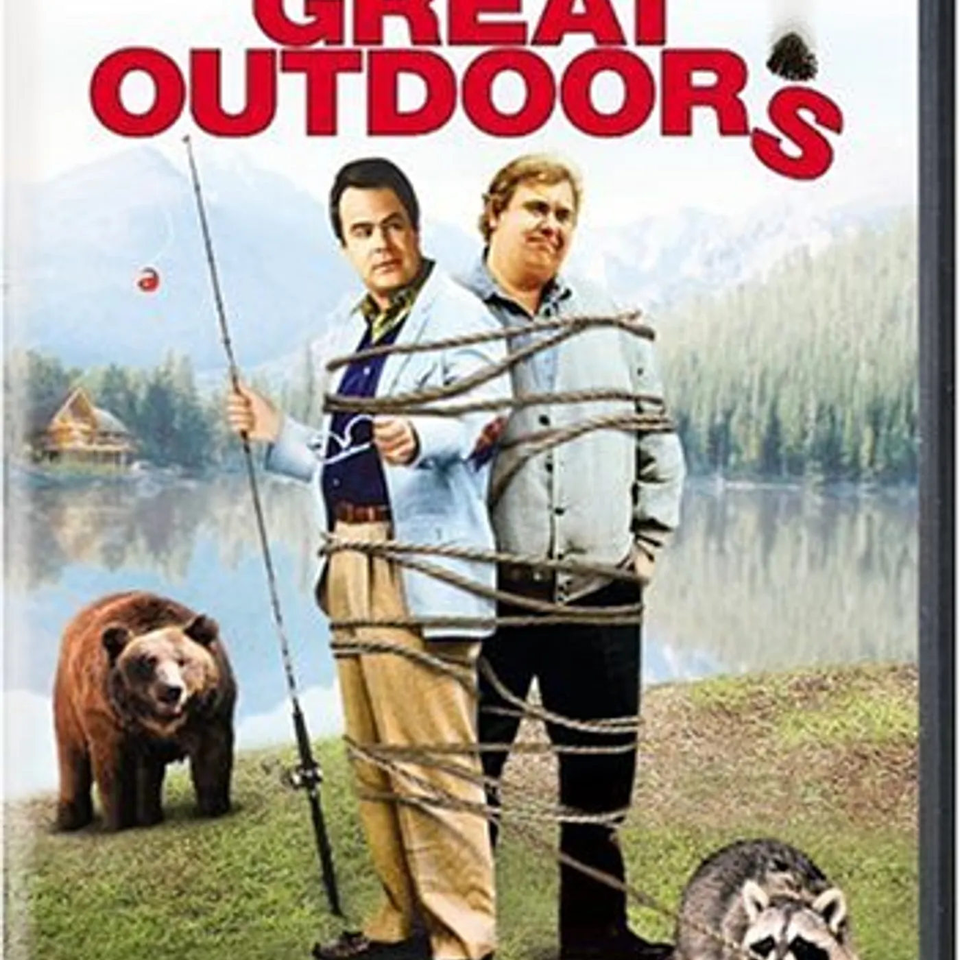 GREAT OUTDOORS DVD