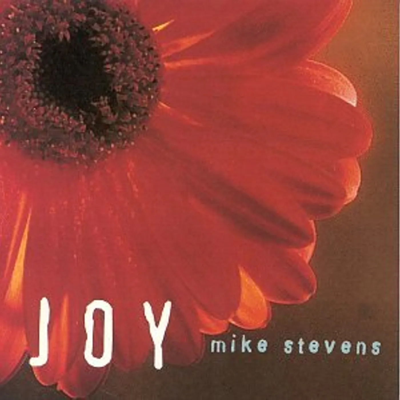 Mike Stevens JOY CD