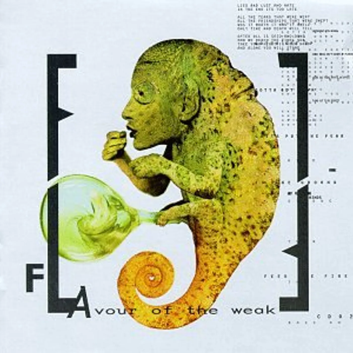 Front Line Assembly FLAVOUR OF THE WEAK CD