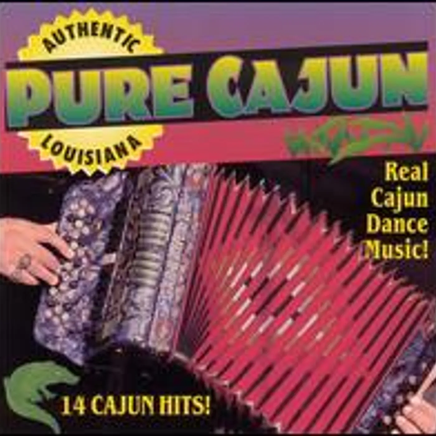 The Cajun Playboys PURE CAJUN CD