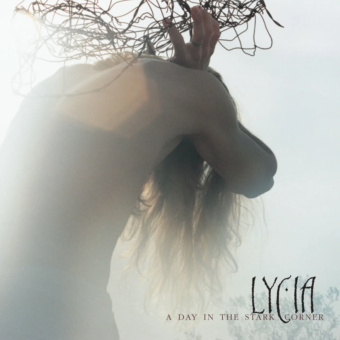 Lycia A DAY IN THE STARK CORNER CD