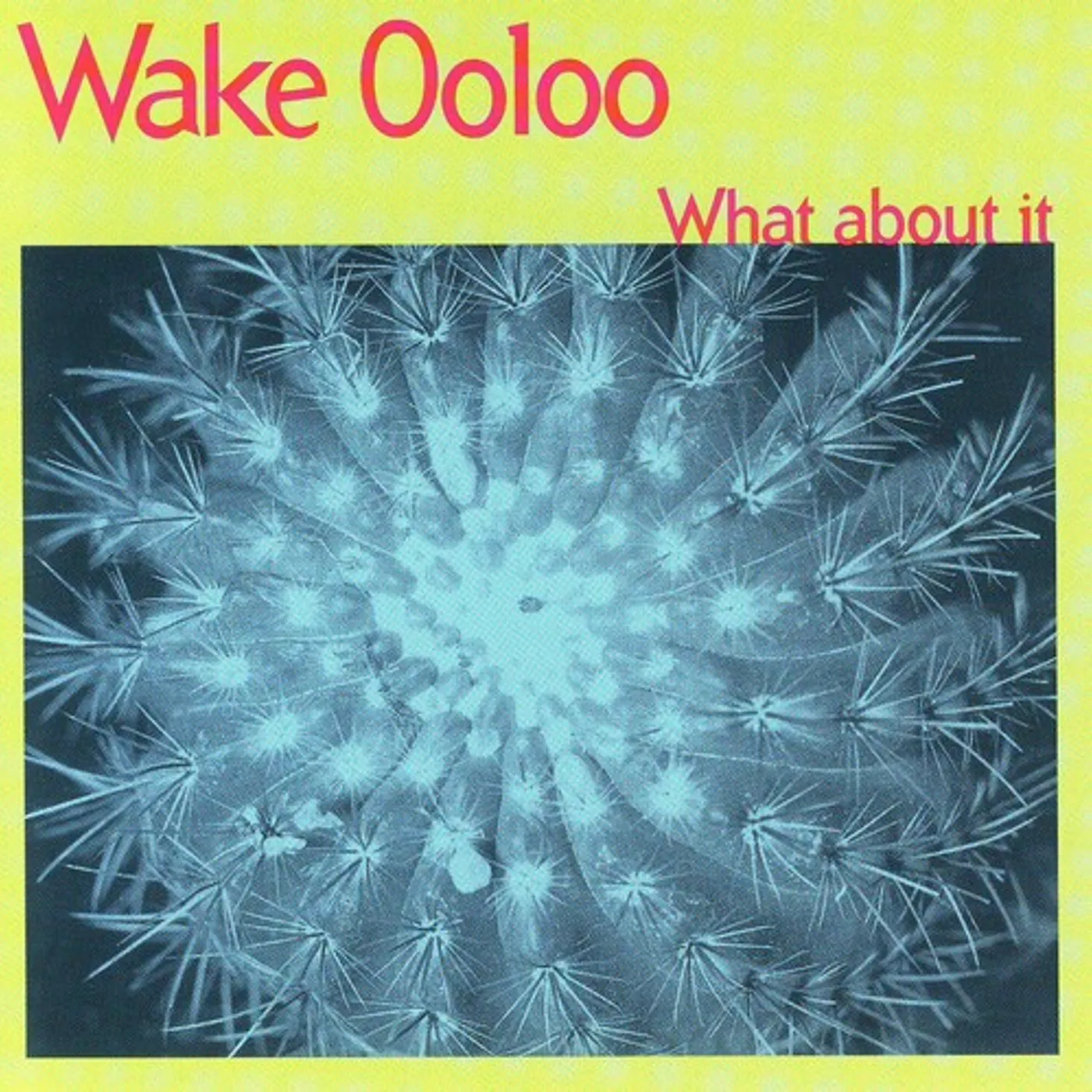 Wake Ooloo WHAT ABOUT IT CD