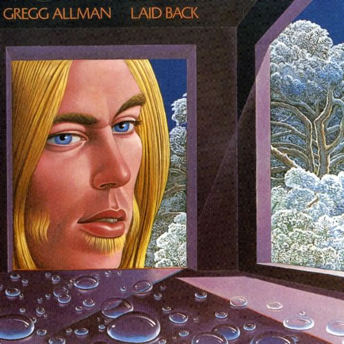 Gregg Allman LAID BACK CD