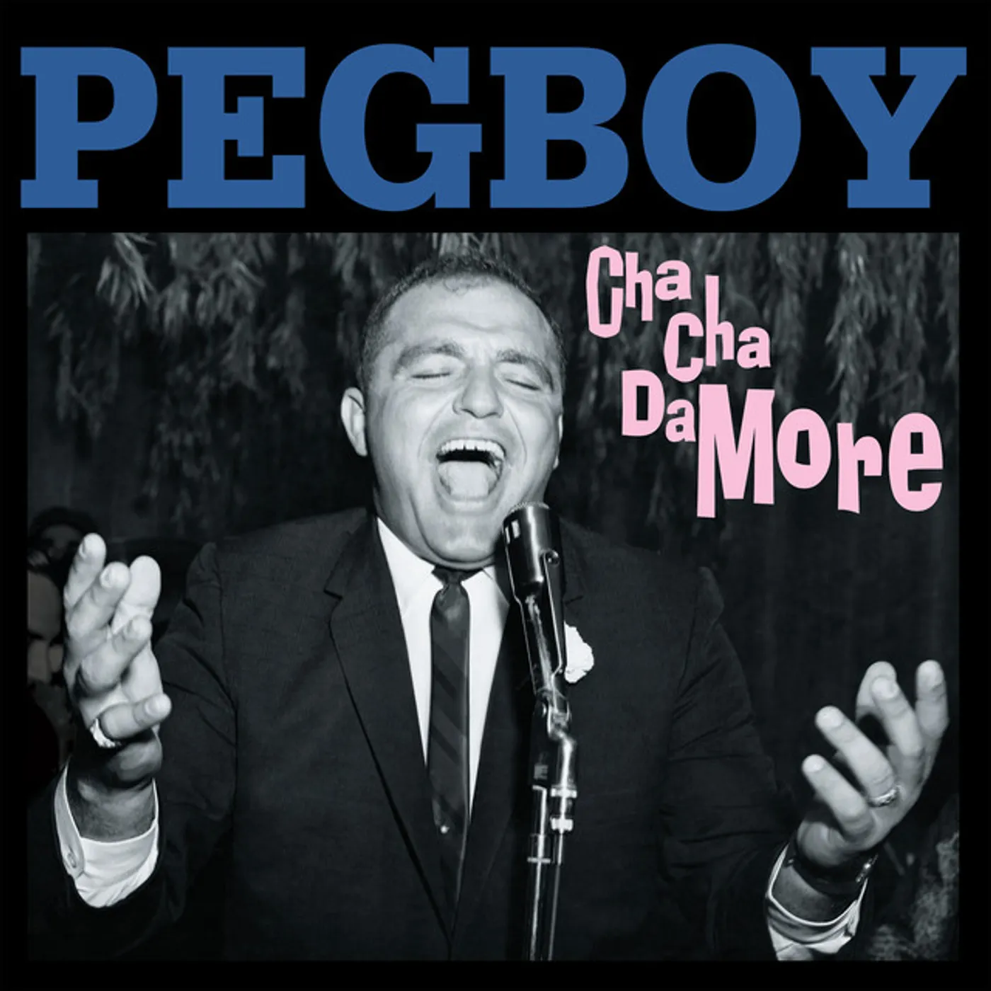 Pegboy Cha Cha Damore Vinyl Record