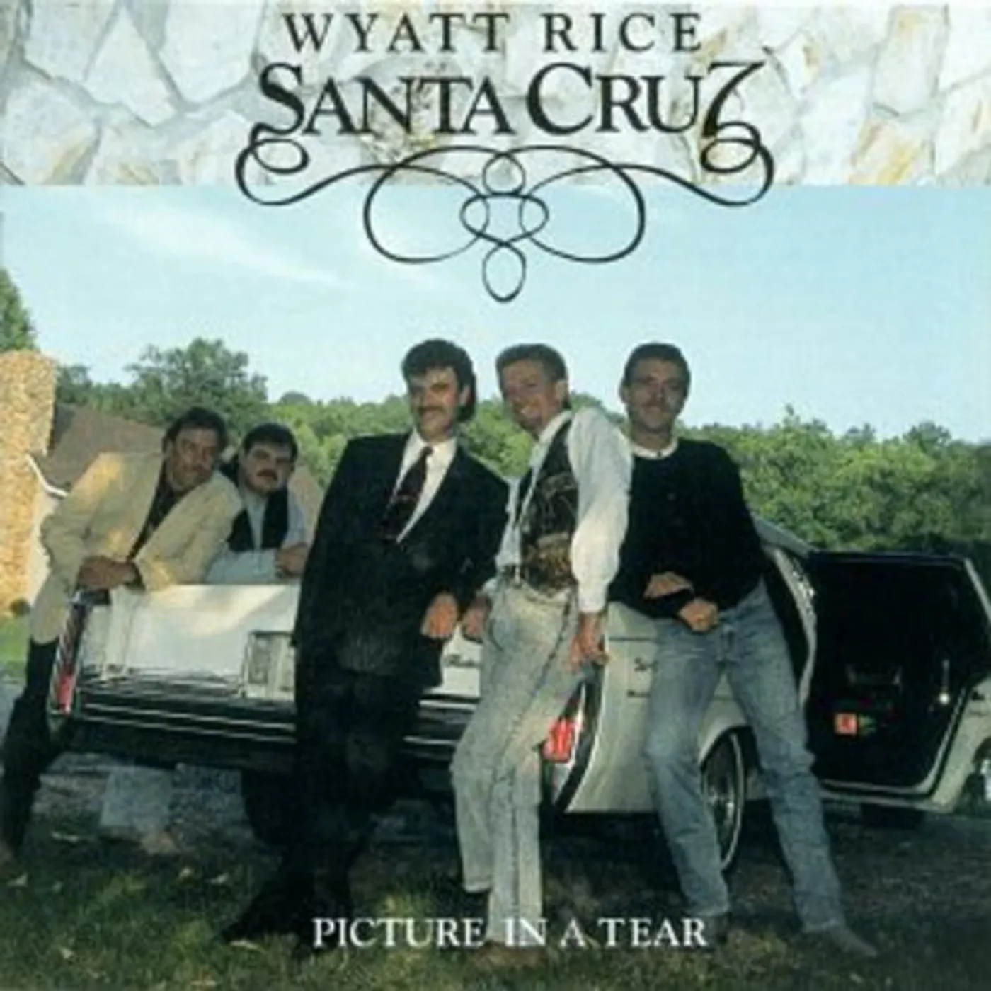 Wyatt Rice PICTURE IN A TEAR CD