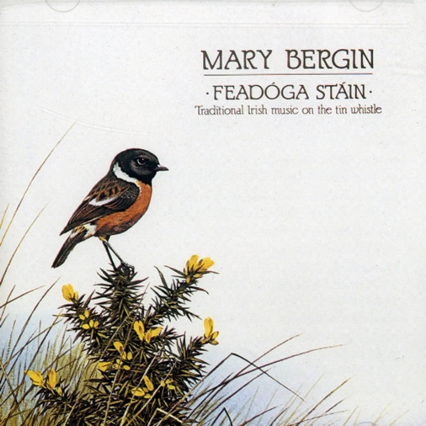 Mary Bergin FEADOGA STAIN CD