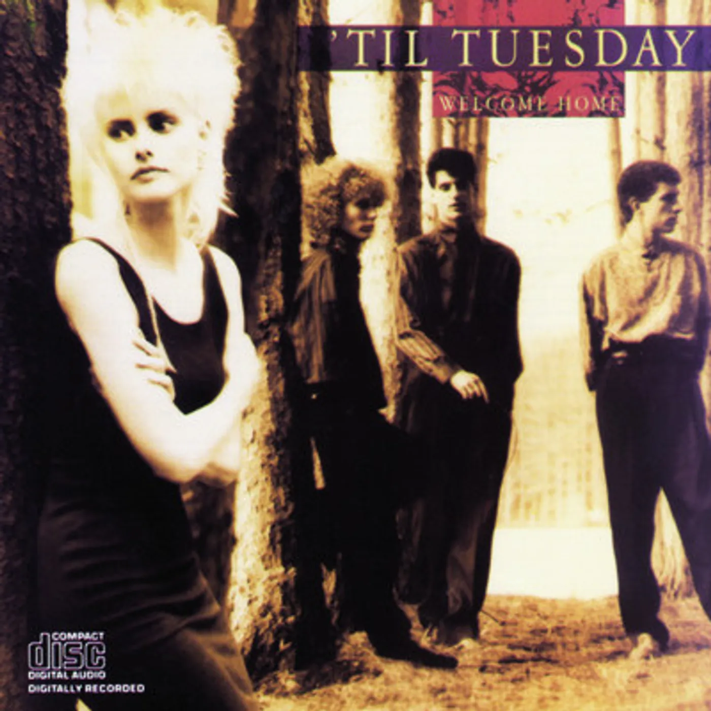 'Til Tuesday WELCOME HOME CD