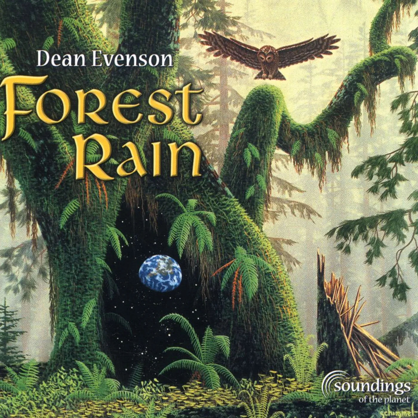 Dean Evenson FOREST RAIN CD