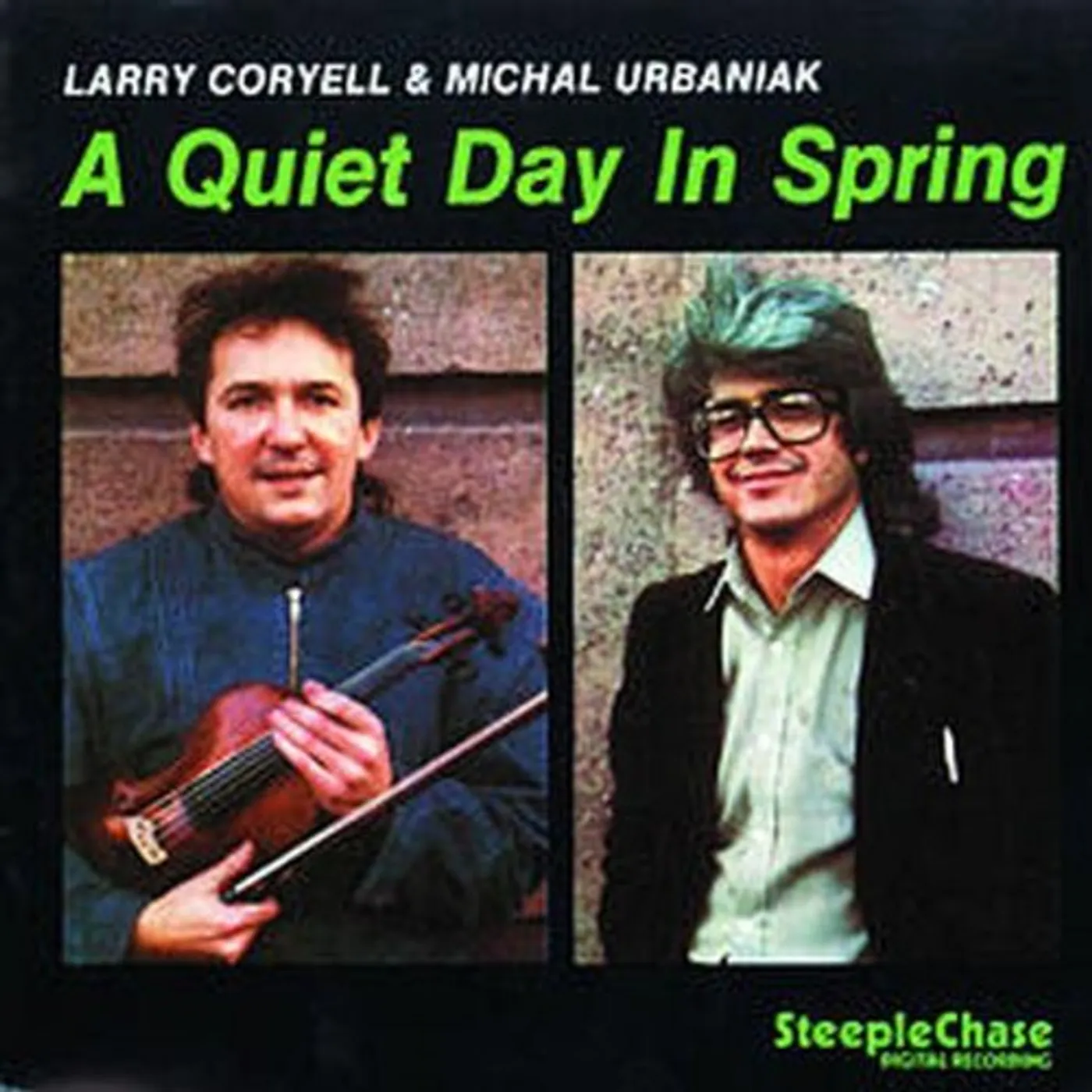 Larry Coryell QUIET DAY IN SPRING CD